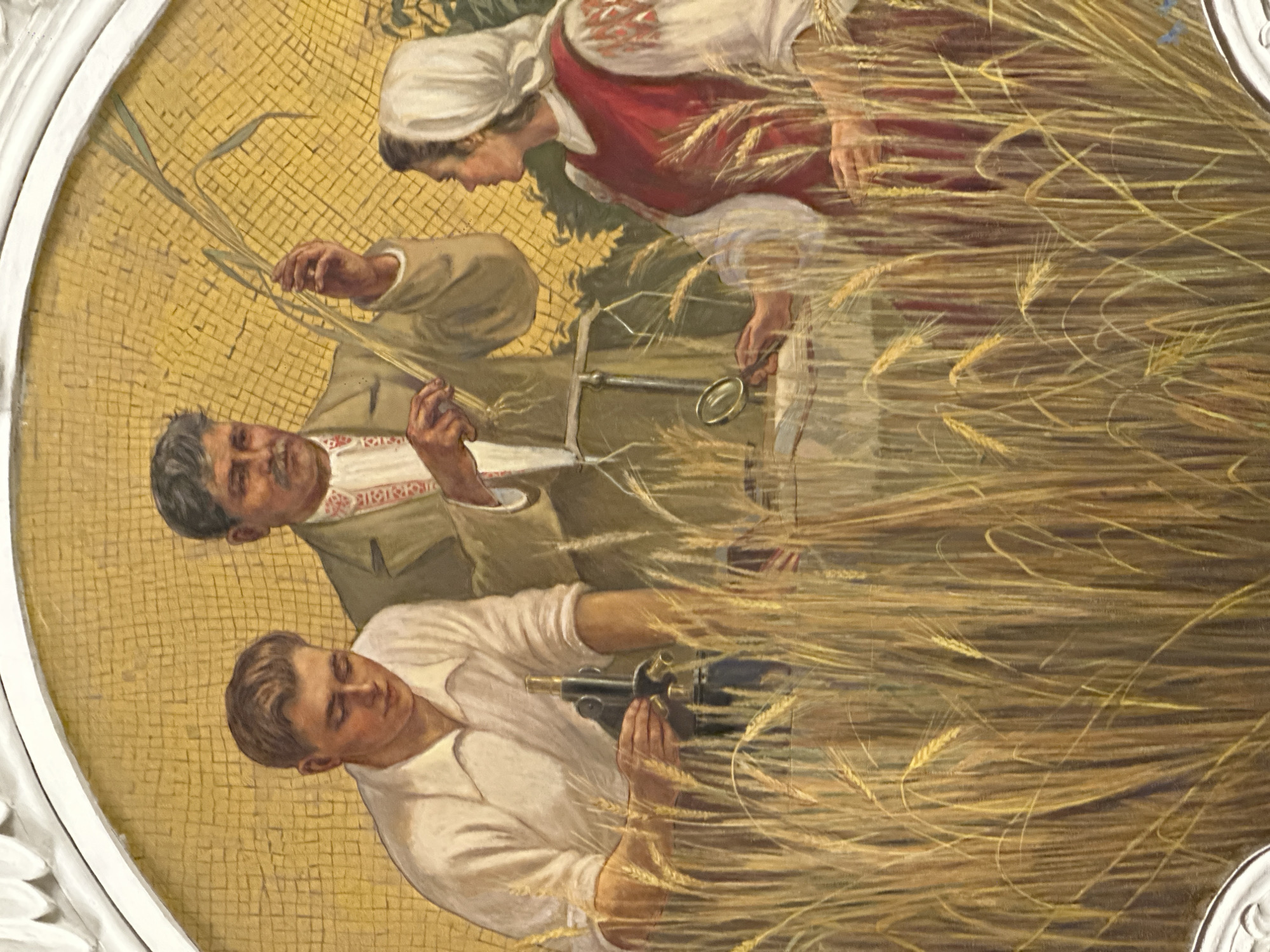 This is a vertical, close-up, angled photograph of a mural depicting agricultural labor. The mural shows three individuals working amongst stalks of wheat, rendered in a realistic style with rich, earthy tones. The background is a golden mosaic.
The subjects are two men and one woman. The woman, in the upper part of the frame, wears a white headscarf and a red vest over a white embroidered blouse. She is holding a bundle of wheat. To her left, a man in a light brown jacket and white shirt with embroidered trim is examining wheat stalks. Below him, another man, wearing a white shirt, is holding what appears to be a scythe or harvesting tool with his hands. His face is focused on his task.
The scene is set in a wheat field, indicated by the abundant, golden stalks of wheat that dominate the lower and right portions of the image. The presence of agricultural tools and the act of harvesting suggest a rural setting. The overall impression is one of hard work and dedication to the harvest. The lighting appears to be warm, suggesting a daytime setting, possibly late afternoon given the golden hues. There is no visible text within the frame. The mural is framed by a white, ornate border, hinting at its placement within a larger architectural context, possibly a public building. The style of clothing and the mosaic background are suggestive of Soviet-era socialist realism art.