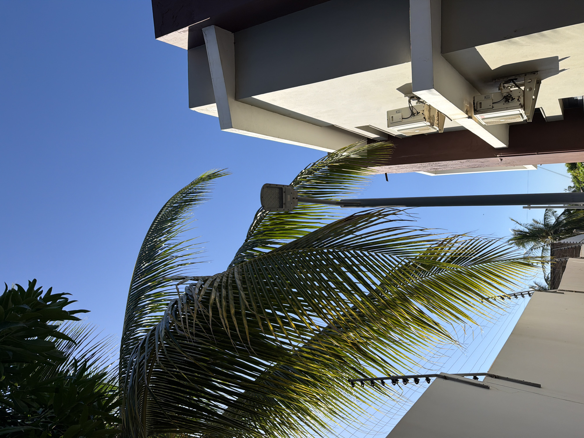 The image is a ground-level, upward-angled shot of a building and tropical vegetation, likely taken during the daytime due to the bright blue sky. Two palm trees dominate the foreground, with the fronds displaying both green and yellow hues, suggesting varied health or maturity. A street light pole is partially visible, intersecting with the foliage.
A multi-story building appears in the upper and right sections of the image. The building features a light-colored facade with some brown trim. Air conditioning units are mounted underneath a section of the building. Electrical wires are visible in the lower right portion of the frame.
