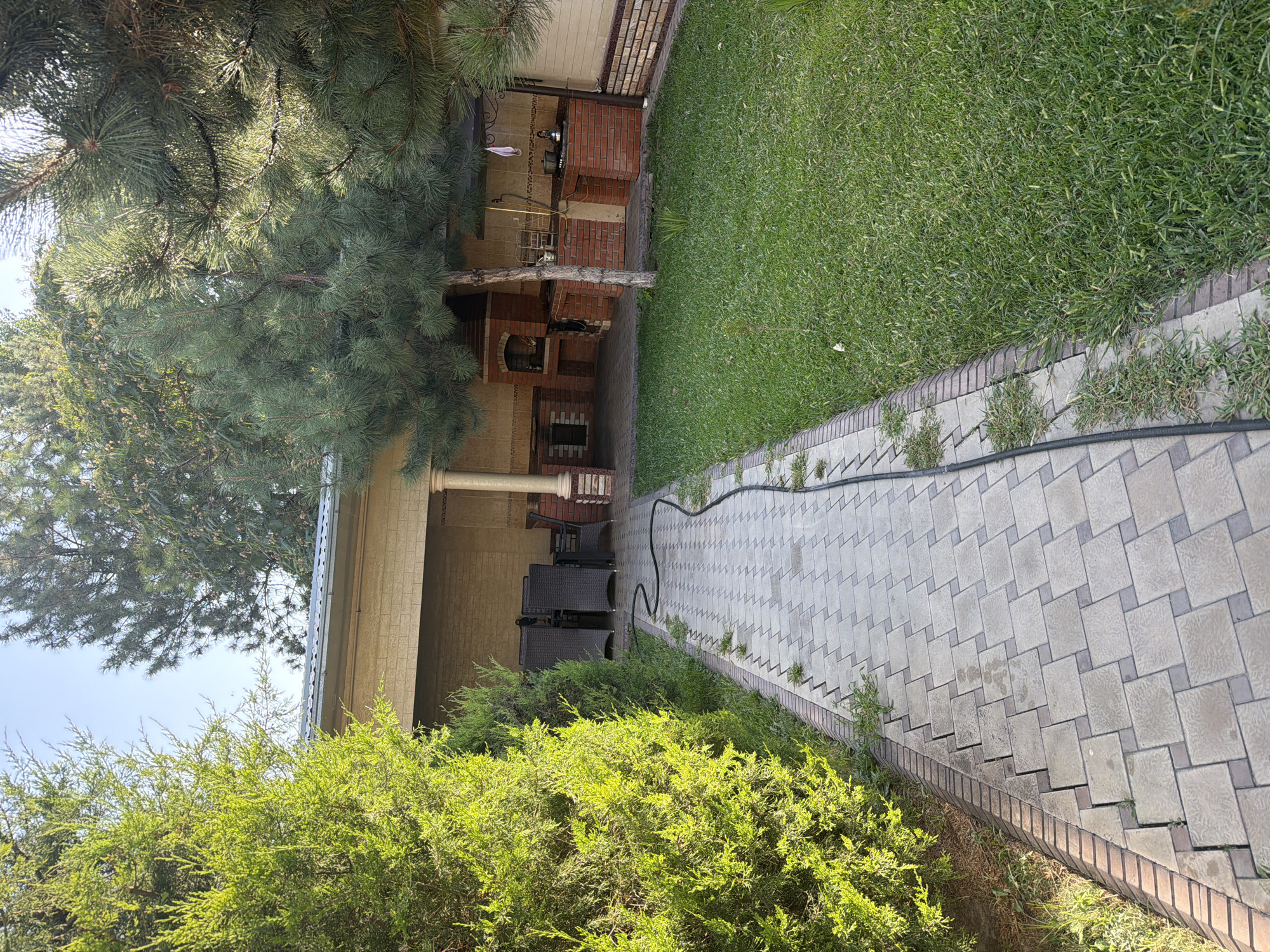 In the city of Koshkurgon, Uzbekistan, a backyard scene unfolds under a clear sky. The foreground is dominated by a paved walkway made of rectangular and square tiles in a light beige and gray pattern, bordered by a strip of brickwork. To the left of the walkway, a lush, vibrant green cypress tree stands tall, casting a shadow. To the right, a well-maintained lawn stretches out, interspersed with sparse blades of taller grass.
Beyond the walkway and lawn, a covered patio area is visible. This area features a brick barbecue pit with an arched opening and a smaller rectangular opening below. To the right of the barbecue, a brick counter with a stovetop and a teapot is set up. The patio is furnished with dark-colored chairs and a table. Large columns support the roof of the patio. Pine trees with dense green needles are scattered throughout the scene, providing shade. The area is enclosed by a building with light-colored brick walls and a textured facade. A black hose snakes its way across the walkway, suggesting recent activity.