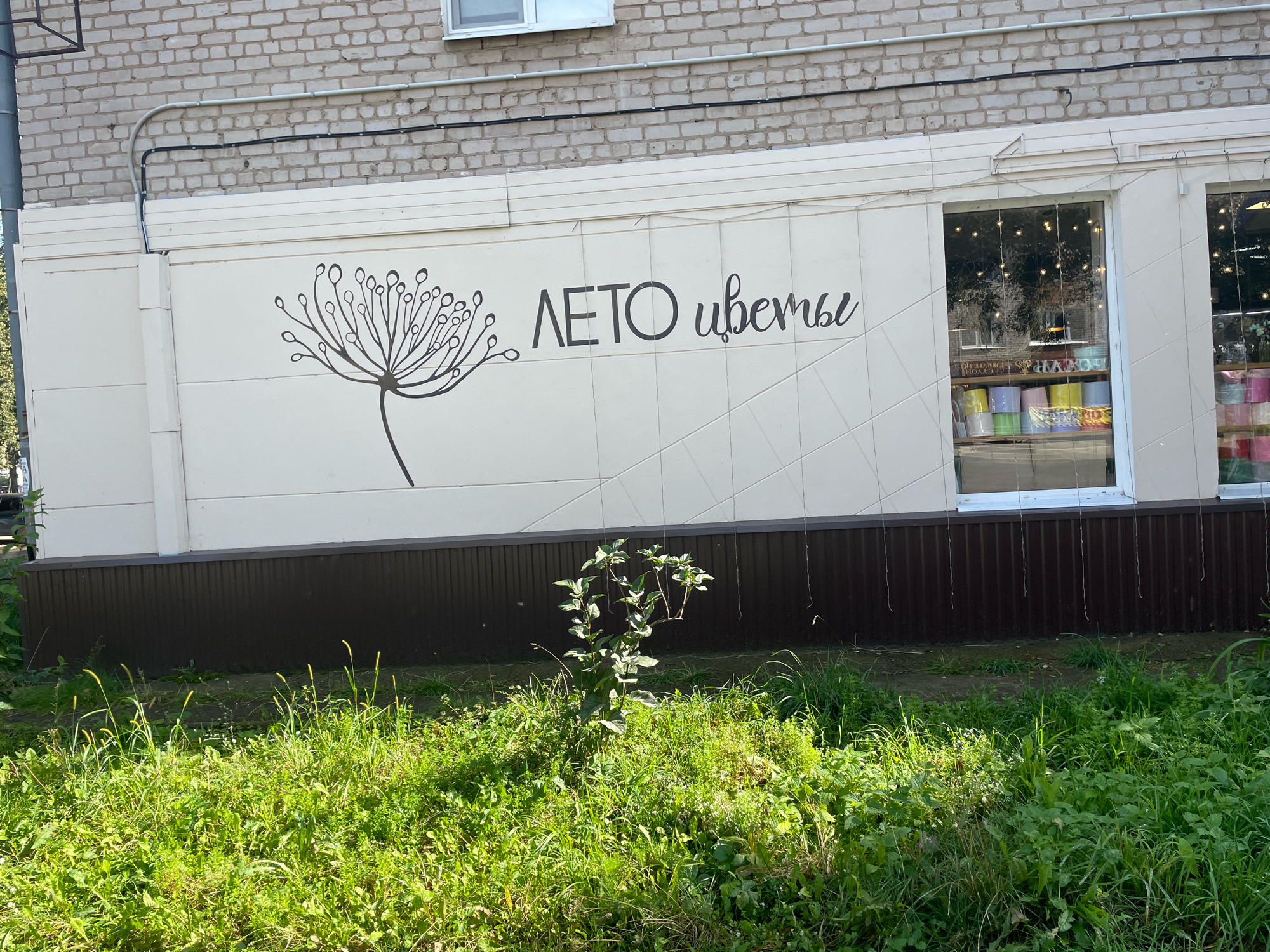 In the city of Chaikovsky, Russia, on the facade of a building, a storefront is visible. The building's exterior is a combination of light-colored brickwork and beige siding. A large black graphic of a dandelion-like flower is painted on the siding, accompanied by the Cyrillic text "ЛЕТО цветы" which translates to "Summer flowers". To the right of the graphic, a large window reveals the interior of a shop filled with rolls of colored paper or fabric, suggesting it is a flower shop or craft store. The window is decorated with string lights. Below the storefront, a dark brown baseboard runs along the building, and in front of it, a patch of overgrown green grass and weeds is visible, with a small, leafy plant growing in the center. The scene depicts a commercial establishment in an urban setting, with a focus on floral or craft supplies.