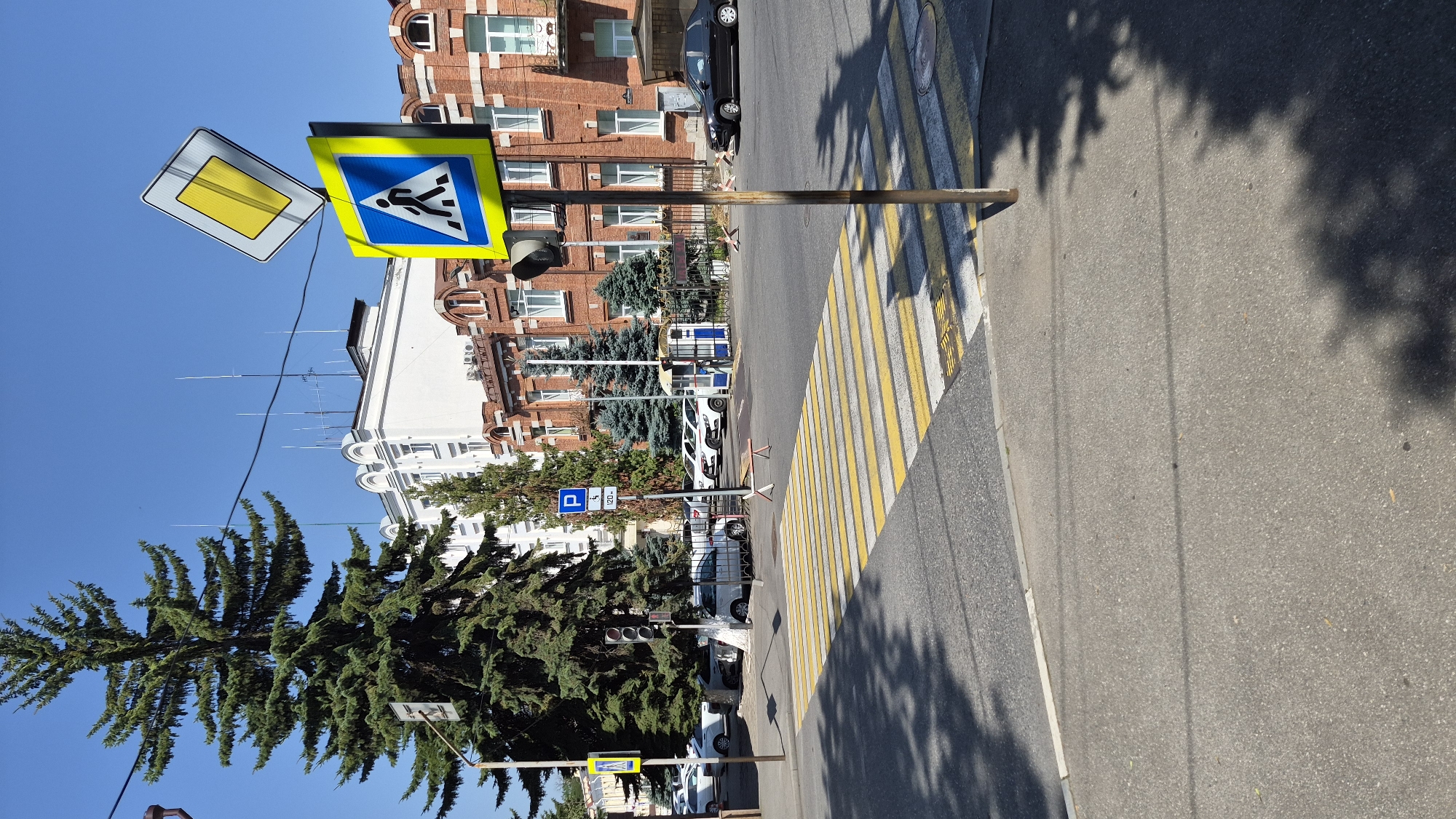 The image captures a sunny day scene on a street in Assinovskaya, Russia, likely near a public building given the architecture. In the foreground, a prominent yellow and white striped pedestrian crossing stretches across the asphalt road. To the right of the crosswalk, a metal pole stands topped with two traffic signs: a blue square with a white pedestrian silhouette indicating a pedestrian crossing, and a diamond-shaped sign with a yellow background and a thick black border, indicating a main road. A traffic light is visible on the same pole, showing red.
Behind the crosswalk, a tall, mature evergreen tree dominates the left side of the frame, casting shadows on the road. Further back, several white cars are parked along the side of the road, and beyond them, two multi-story buildings are visible. The building directly behind the trees is white with numerous windows and an arched roofline. To its right, a red brick building with ornate detailing and arched windows suggests historical architecture. The sky is clear and blue. The overall environment appears to be a relatively quiet urban or town setting.