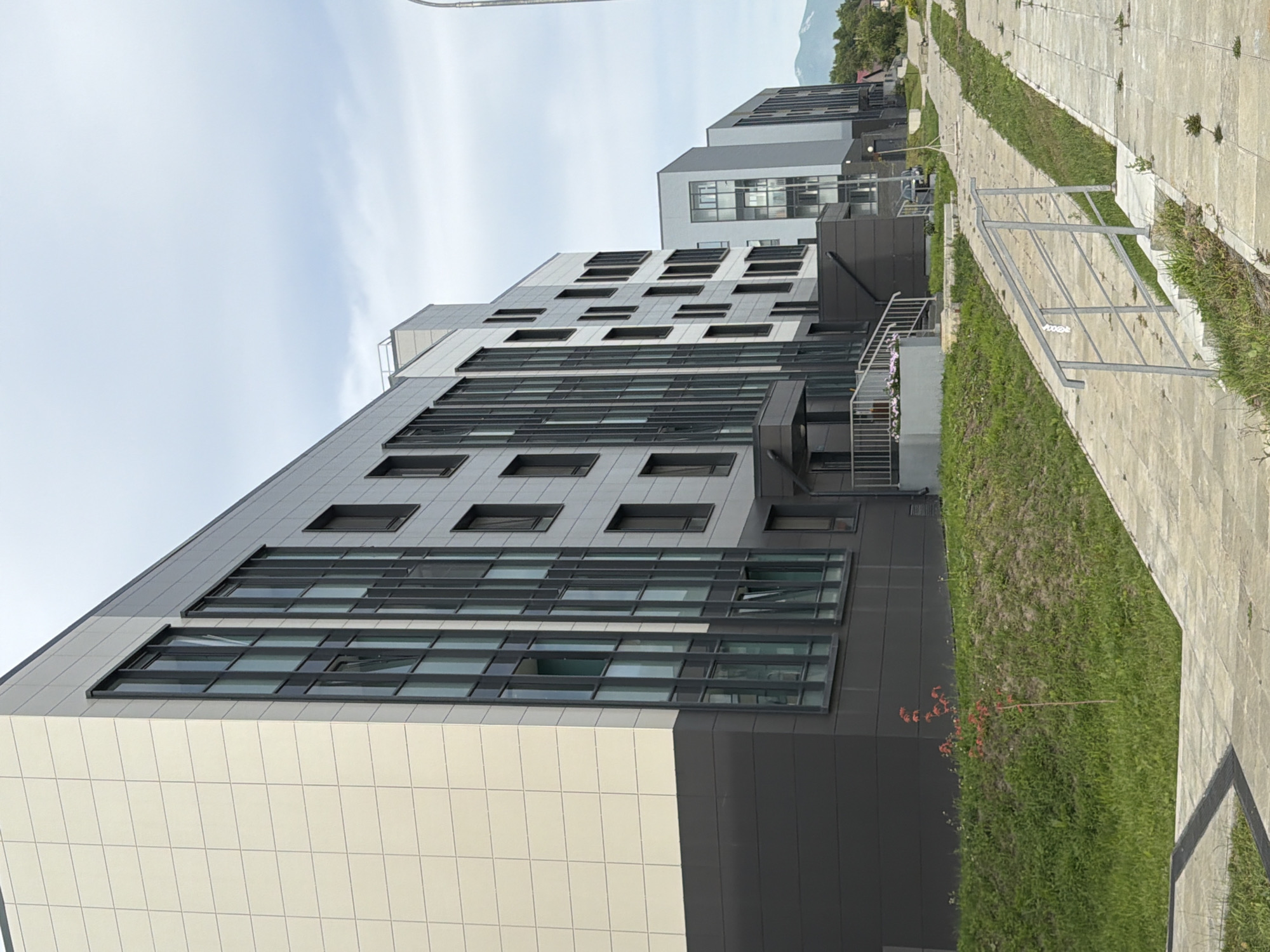 The image shows a row of modern apartment buildings in Yuzhno-Sakhalinsk, Russia, under a cloudy sky. The buildings feature a combination of light-colored facade panels and dark gray cladding, with prominent vertical windows. In the foreground, a paved walkway with metal railings runs alongside a grassy embankment. A small, sapling tree with red leaves is planted on the embankment. The perspective is from street level, looking towards the buildings and the walkway stretching into the distance. The scene appears to be a newly developed residential area.