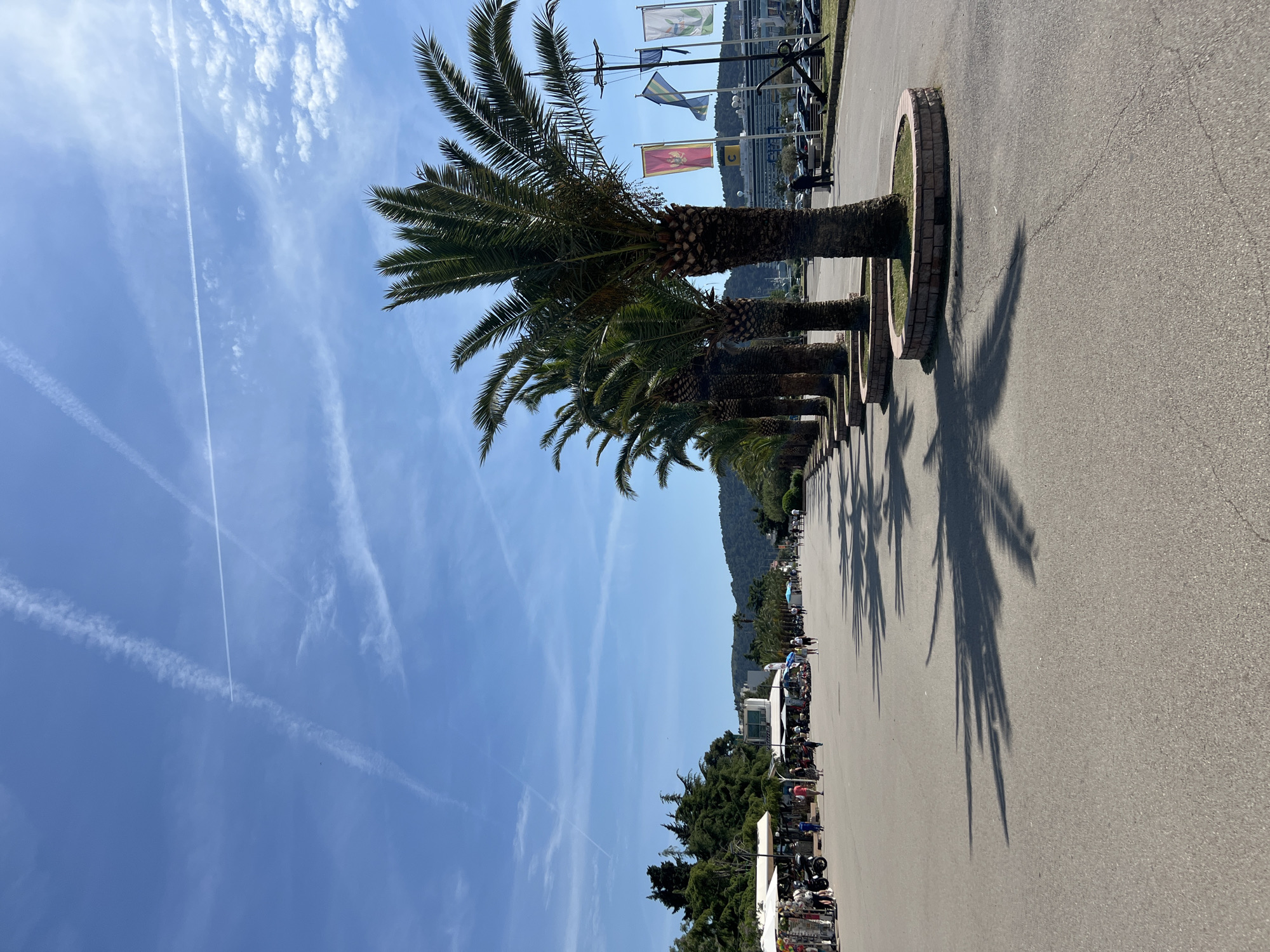 The image presents a sun-drenched outdoor scene, likely a promenade or wide paved thoroughfare, in Bar, Montenegro. A prominent line of tall palm trees with thick trunks and vibrant green fronds borders the right side of the asphalt path. Each palm tree is planted in a circular bed ringed with bricks, and their long, sharp shadows stretch diagonally across the path, indicating a high sun position, likely mid-morning or early afternoon.
The sky is a clear, brilliant blue, adorned with scattered wispy white clouds and several distinct airplane contrails, adding dynamic lines to the expansive overhead view.
In the mid-ground, beyond the row of palm trees, various elements contribute to the lively atmosphere. Several colorful flags fly from poles; notable among them are a red flag with a yellow design, a blue and yellow striped flag, and a green and yellow one. One flag also features a yellow "C". Nearby, a large black anchor sculpture stands as a distinct landmark. Behind these, buildings and structures are visible, with lush, green, tree-covered hills or mountains forming a natural backdrop in the distance.
On the left side of the path, in the mid-ground, the scene suggests an active marketplace or tourist area. Several stalls or kiosks are set up, displaying various merchandise, and numerous people can be seen strolling, browsing, or gathered in groups. Parked cars and smaller vehicles are also visible further down the road.
The overall impression is one of a bustling, pleasant day in a coastal or port town, characterized by clear weather and outdoor activity.