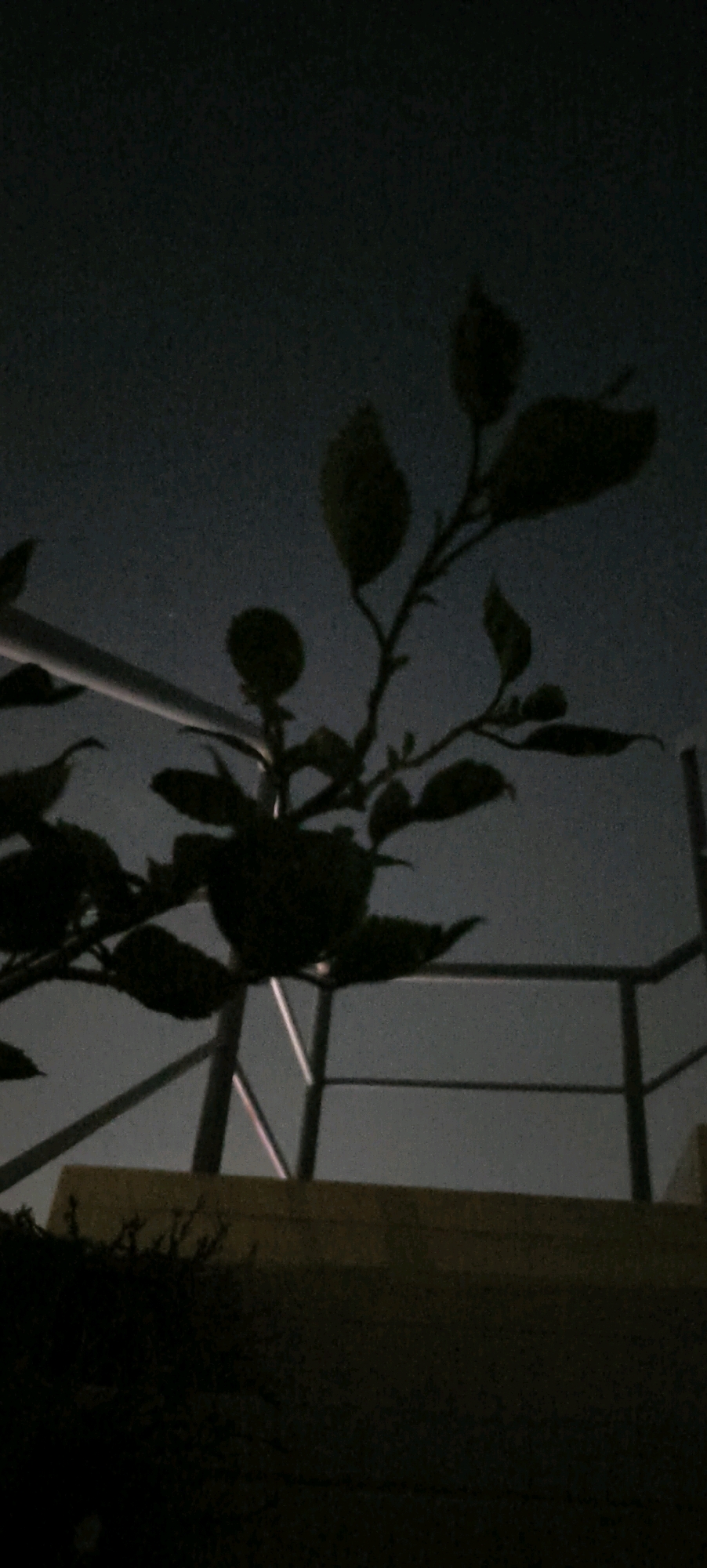 An out-of-focus, dark silhouette of a leafy plant is visible against a muted grey sky, suggesting it is nighttime or dusk. The plant is positioned in the foreground and is the primary subject. Behind the plant, a metal railing, likely part of a balcony or walkway, is visible, also in silhouette. Below the railing is a yellowish, rectangular structure, possibly a wall or ledge. The overall scene is dimly lit and grainy, with the plant's leaves and branches appearing as dark shapes. The image appears to be taken from a low angle, looking upwards towards the plant and the sky. The location is specified as Kundrathur, India. There are no people or discernible actions depicted.