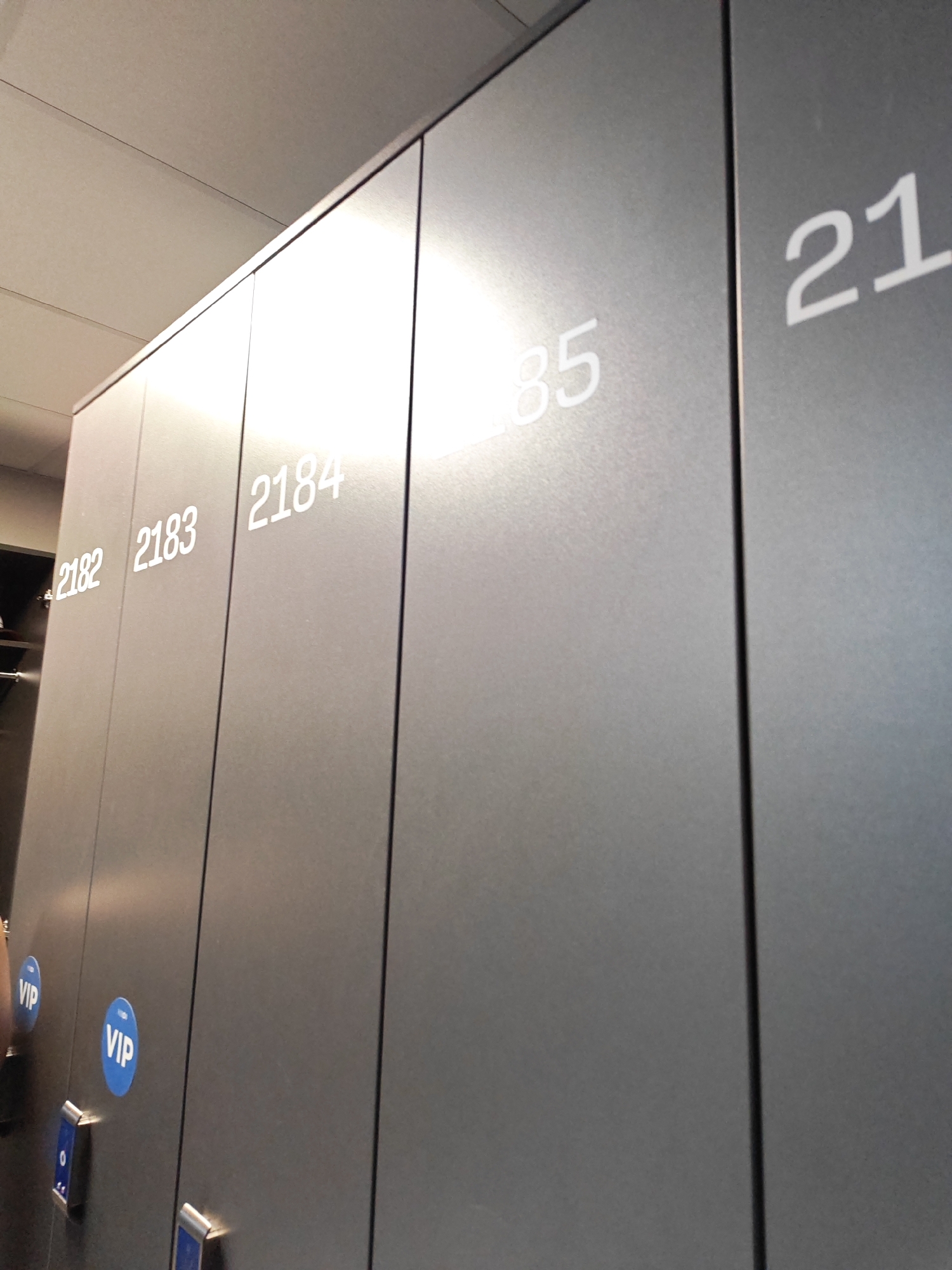 The image shows a row of grey metal lockers. Several lockers have white numbers on them: "2182", "2183", "2184", "85", and "21". Two blue circular stickers with "VIP" written in white are visible on the lower left lockers. The lockers appear to be in an indoor setting, possibly a gym or a public facility. There is no indication of the city of Rostov-on-Don, Russia, in the image.