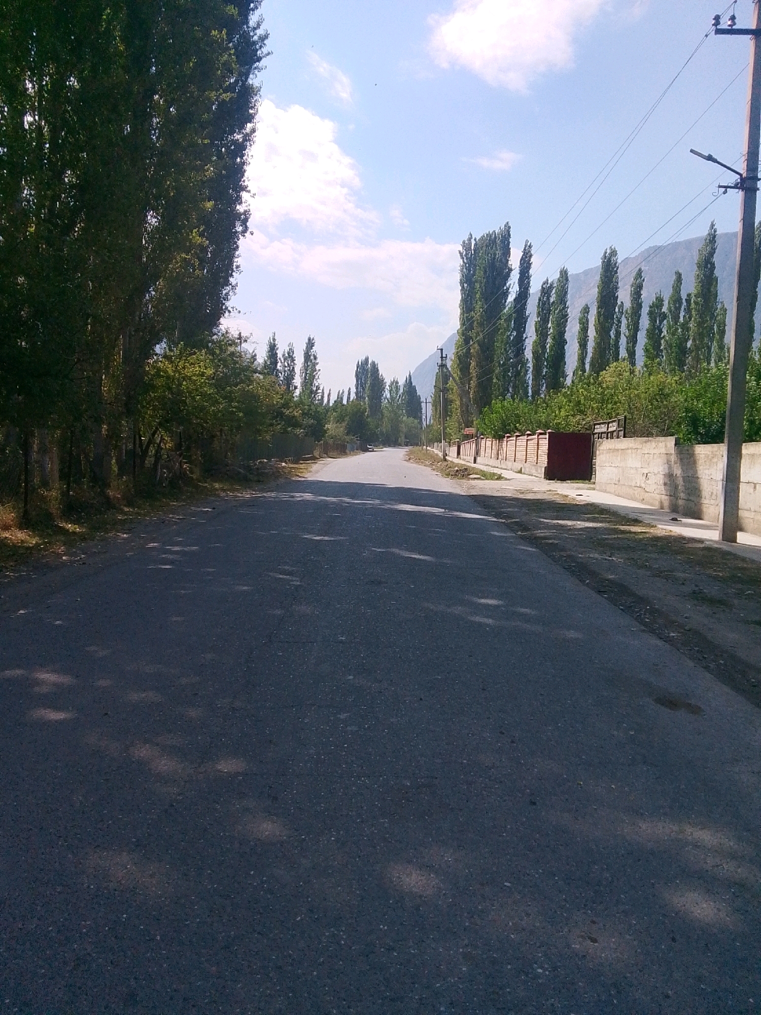This is a daytime, eye-level, outdoor, medium shot of a paved road in Kara-Jygach, Kyrgyzstan. The road is flanked by tall trees on the left and a sidewalk and a wall on the right. The wall on the right is constructed from concrete blocks and features a wooden fence with a red gate. Power lines with a utility pole are visible in the background. Mountains can be seen in the distance. The sky is blue with scattered white clouds. The road surface shows dappled shadows from the surrounding trees. There are no people or vehicles visible in the image.