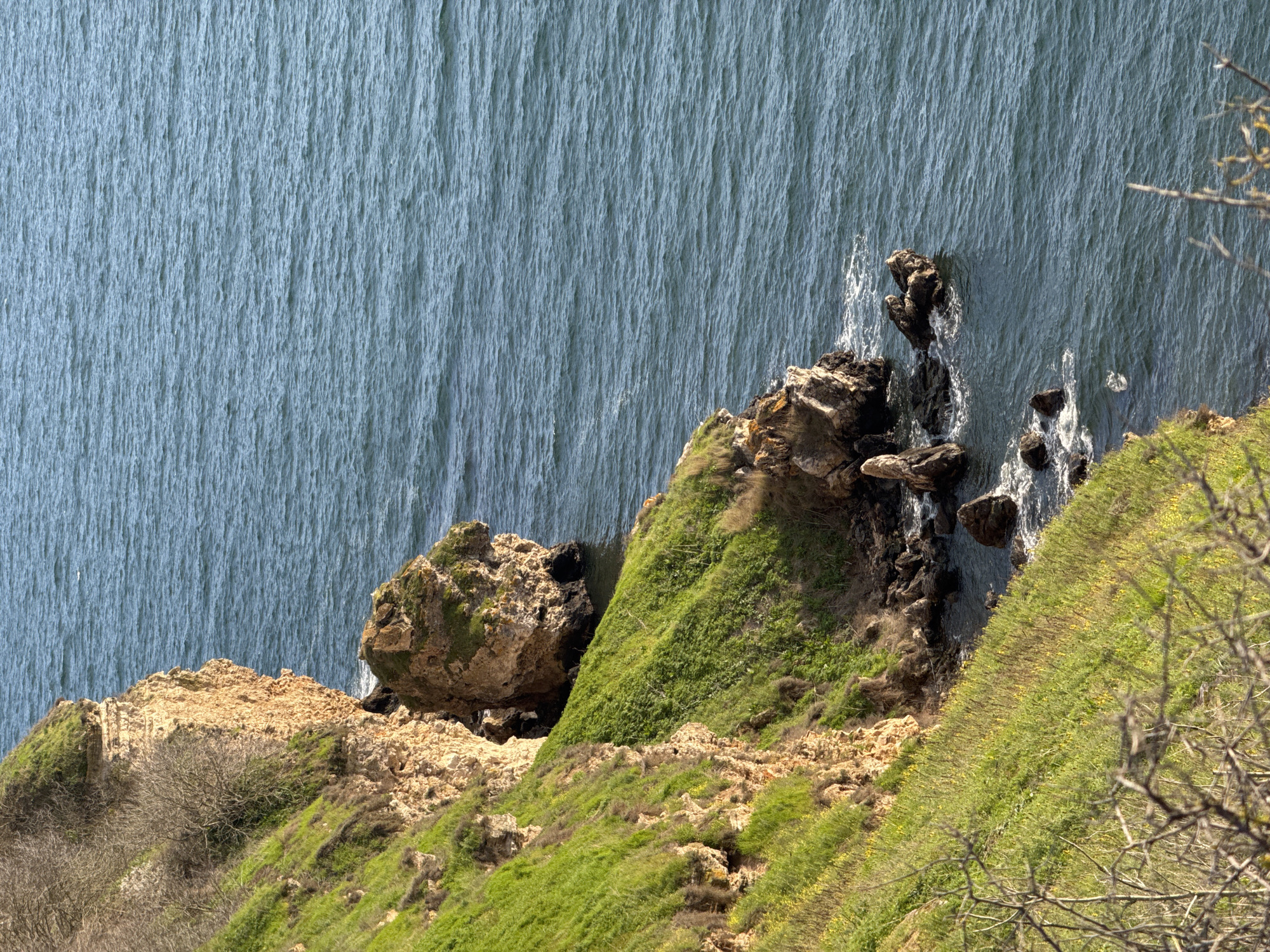 An aerial shot focuses on a coastal scene, likely in the city of Balgarevo, Bulgaria. The image is split between the ocean, visible in the upper half and to the right, and a rocky, grassy cliffside dominating the lower portion. The ocean's surface appears slightly textured, indicating possible waves or currents. Along the water's edge are jagged rock formations. The cliffside shows a transition from barren, rocky terrain near the top to patches of green grass closer to the bottom. Some bare tree branches extend into the frame from the bottom right corner.