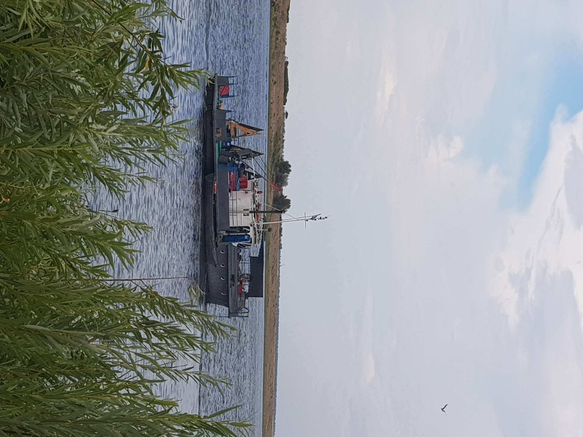 A medium shot captures a boat on a calm body of water, with lush green foliage in the foreground and a sandy, treed shoreline in the background under a cloudy sky. The boat, dark grey with a white superstructure, is a workboat with visible equipment and a person on deck. A single bird flies in the distance. The scene is likely near Kurchatov, Kazakhstan, a city situated on the Irtysh River.