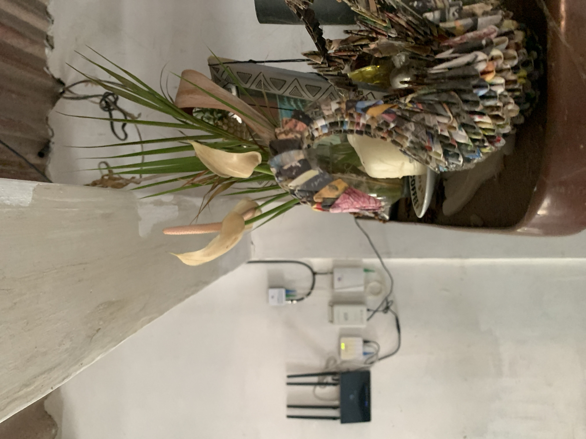 This image captures an indoor scene in Santa Ana, Venezuela, featuring a decorative potted plant and electronic equipment mounted on a wall.
On the left side of the frame, a large plant with long, slender green leaves and several light cream-colored anthurium flowers (each with a prominent spadix) is visible. The plant is housed in a dark brown pot, which is partially seen on the right. Nestled within the pot, alongside the plant, is a distinct decorative piece composed of numerous small, tightly rolled pieces of paper, likely from magazines or newspapers, creating a textured, layered form with various colors and patterns. A faint "COFFEE" label is discernible on a white container near the base of this paper sculpture.
Below the plant and towards the right, a cluster of electronic devices is mounted on a plain white wall. This arrangement includes a black modem or router with multiple external antennas and a blue indicator light. It is connected by black cables to several smaller, white network boxes or converters, one of which emits a green light. The wall shows some minor imperfections and texture. The overall lighting is soft and indirect, suggesting an interior space. No people are present, and no specific activity is taking place.