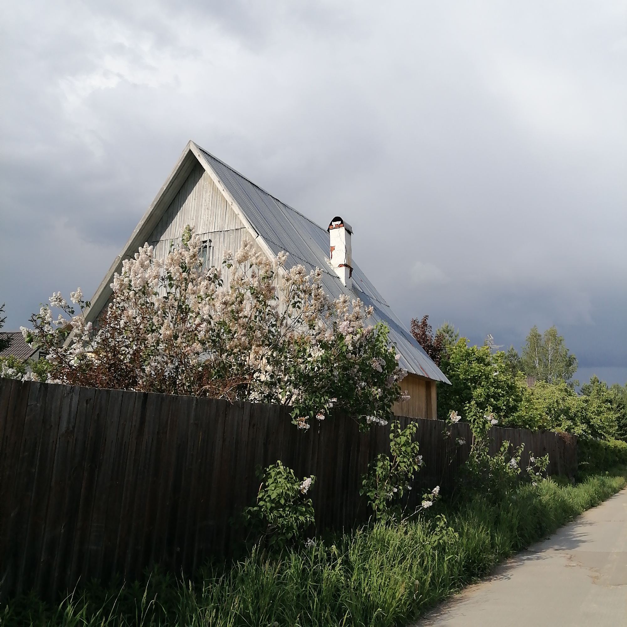 The image depicts a single-story, gable-roofed house in Здравница, Russia, viewed from behind a wooden fence. The house is light grey, with a silver corrugated metal roof and a white chimney with exposed brick at the top. A flowering shrub with white blossoms obscures part of the house. The fence is weathered and grey. Tall green grass grows at the base of the fence. A paved path runs alongside the fence, to the right of the frame. The sky is overcast with dark storm clouds. Other trees and vegetation are visible beyond the fence and house. No people are visible.