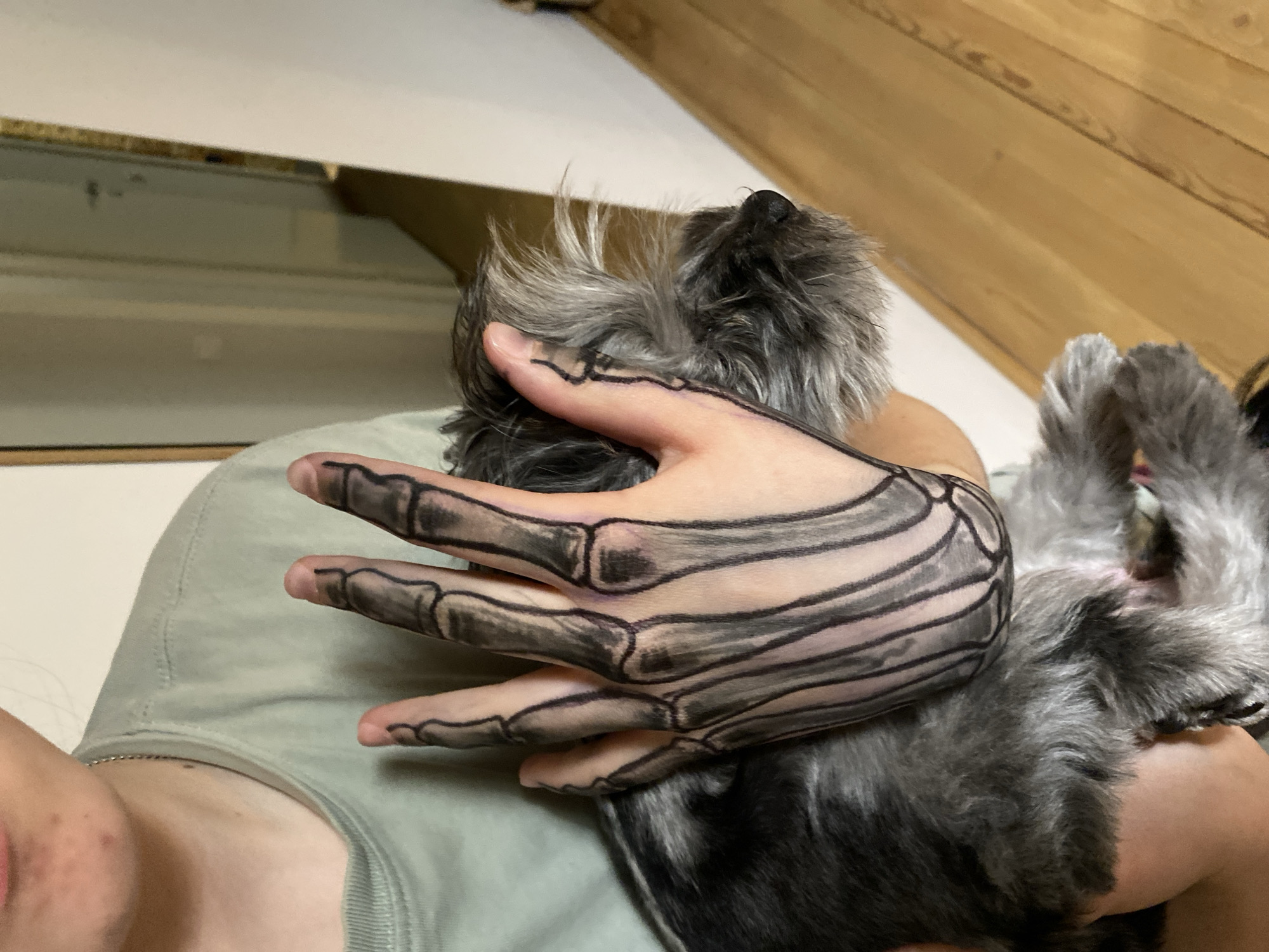 A person wearing a green t-shirt is holding a small, gray and white, terrier-type dog. The person's hand has been decorated with black markings to resemble a skeleton hand. The background appears to be an interior space with a sloped wooden ceiling. There is no indication of the location being in the city of Chaikovsky, Russia.