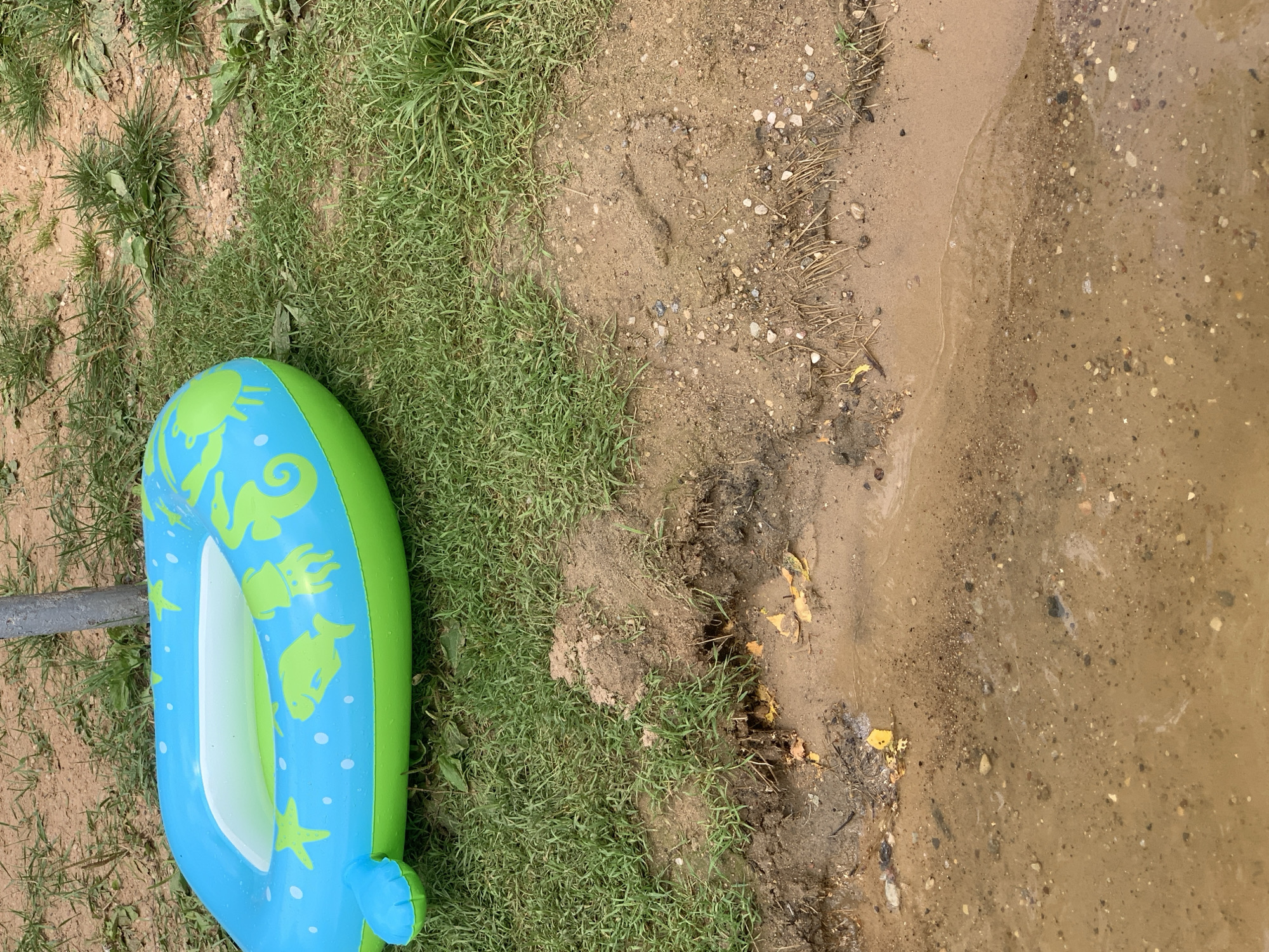 An inflatable swim ring, predominantly blue with green accents and sea creature designs, rests on a grassy area adjacent to a muddy, shallow body of water. The ring is partially deflated and lies on its side. The environment appears to be outdoors, possibly near a natural water source. The ground transitions from dry soil and grass to wet mud and sand where the water's edge is visible. There are no people or animals present in the image.