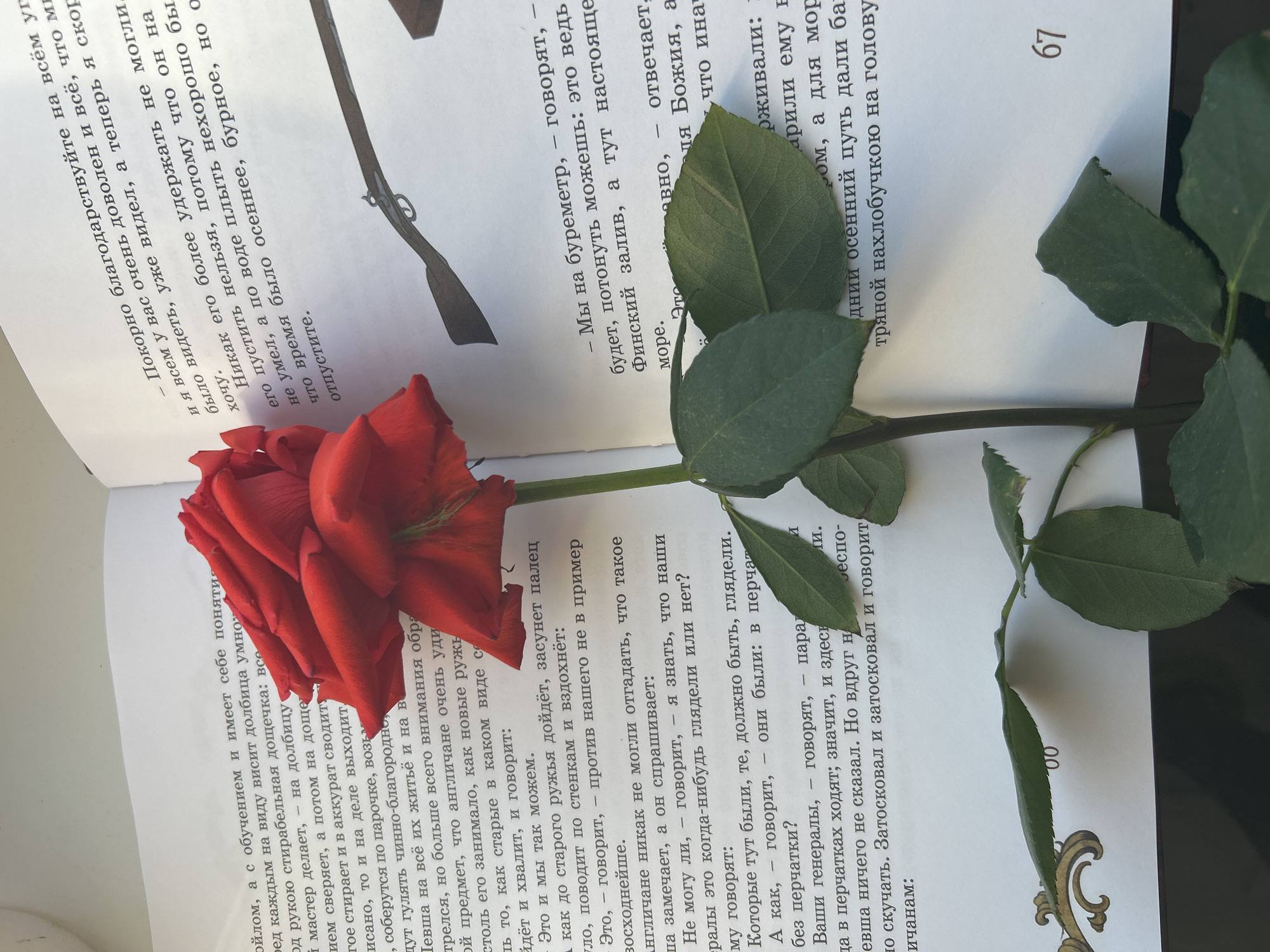 A vibrant red rose with green leaves is prominently displayed, resting diagonally across the open pages of a book. The image is captured from an elevated, angled perspective, highlighting the interplay between the natural object and the printed medium.
The book is open to pages containing dense Russian text. On the right page, the page number "67" is clearly visible in the top right corner. On the lower left page, "00" (likely indicating page 100) is partially seen. The visible text includes dialogue, marked by dashes, and contains phrases such as "Покорно благодарствуйте" (Humbly thank you), "Мы на буреметр" (We are on a barometer), "Финский залив" (Gulf of Finland), "Англичане" (Englishmen), and "генералы" (generals). These snippets suggest a narrative, possibly a historical or adventurous story, which aligns with the given location context of Rusalevka, Russia.
The lighting appears soft and natural, casting minimal shadows, creating a tranquil and contemplative scene. The deep red of the rose stands out against the crisp white pages and the black Russian script. The overall impression is one of a quiet moment, perhaps a pause during reading.