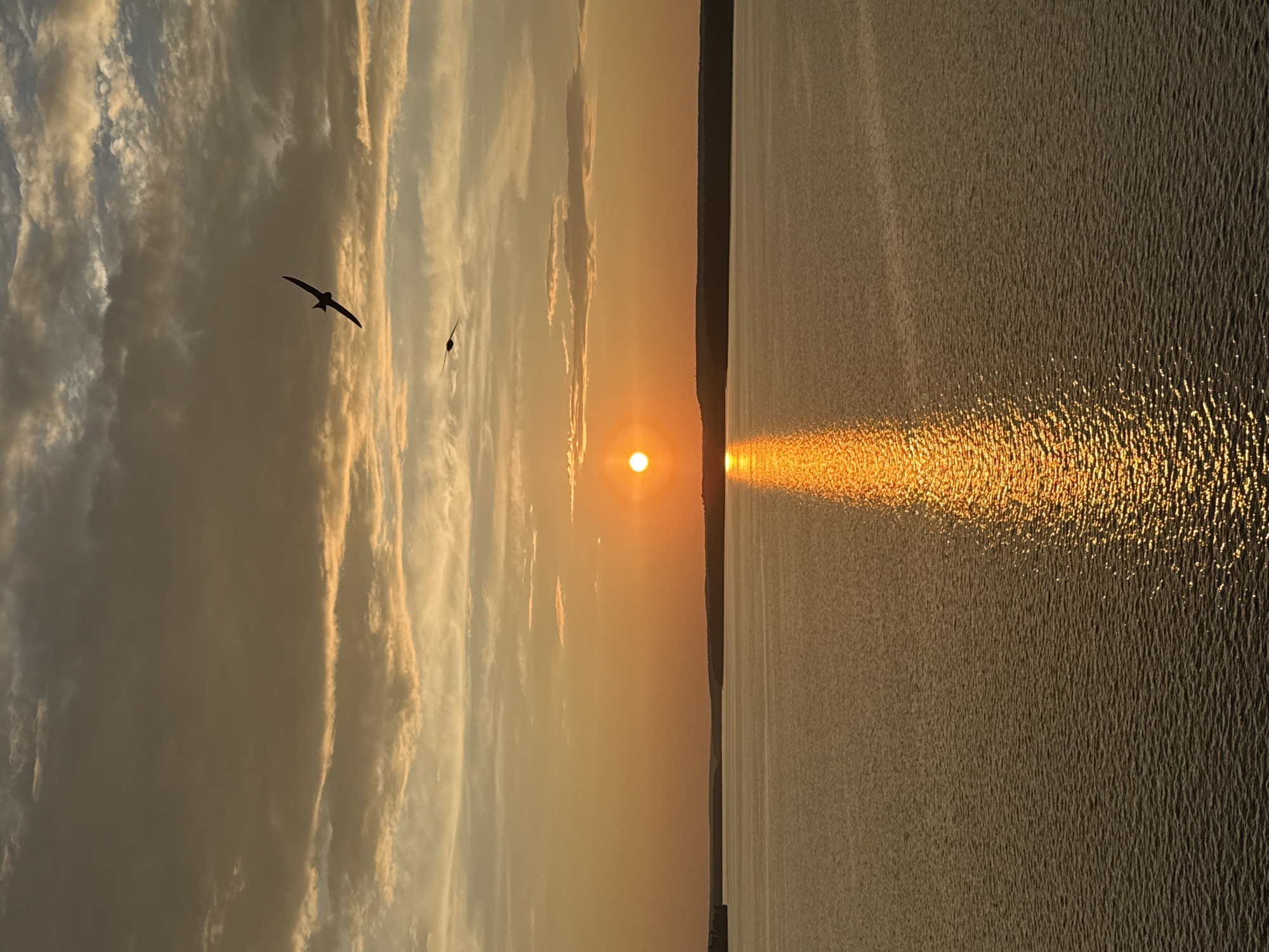 The image captures a serene sunset over a wide body of water, likely the Votkinsk Reservoir, in Votkinsk, Russia. The sun, a bright orange orb, is positioned just above the horizon, casting a golden, shimmering reflection across the rippling surface of the water. The sky is a canvas of warm hues, transitioning from a soft yellow near the sun to muted browns and grays in the upper reaches, with scattered clouds adding texture and depth. Two birds, silhouetted against the sky, are captured in flight, one larger and closer to the camera, the other smaller and further away. The distant shoreline is a dark, undulating line of trees or hills, creating a sense of vastness and tranquility. The overall atmosphere is peaceful and picturesque, indicative of a natural landscape at dusk.
