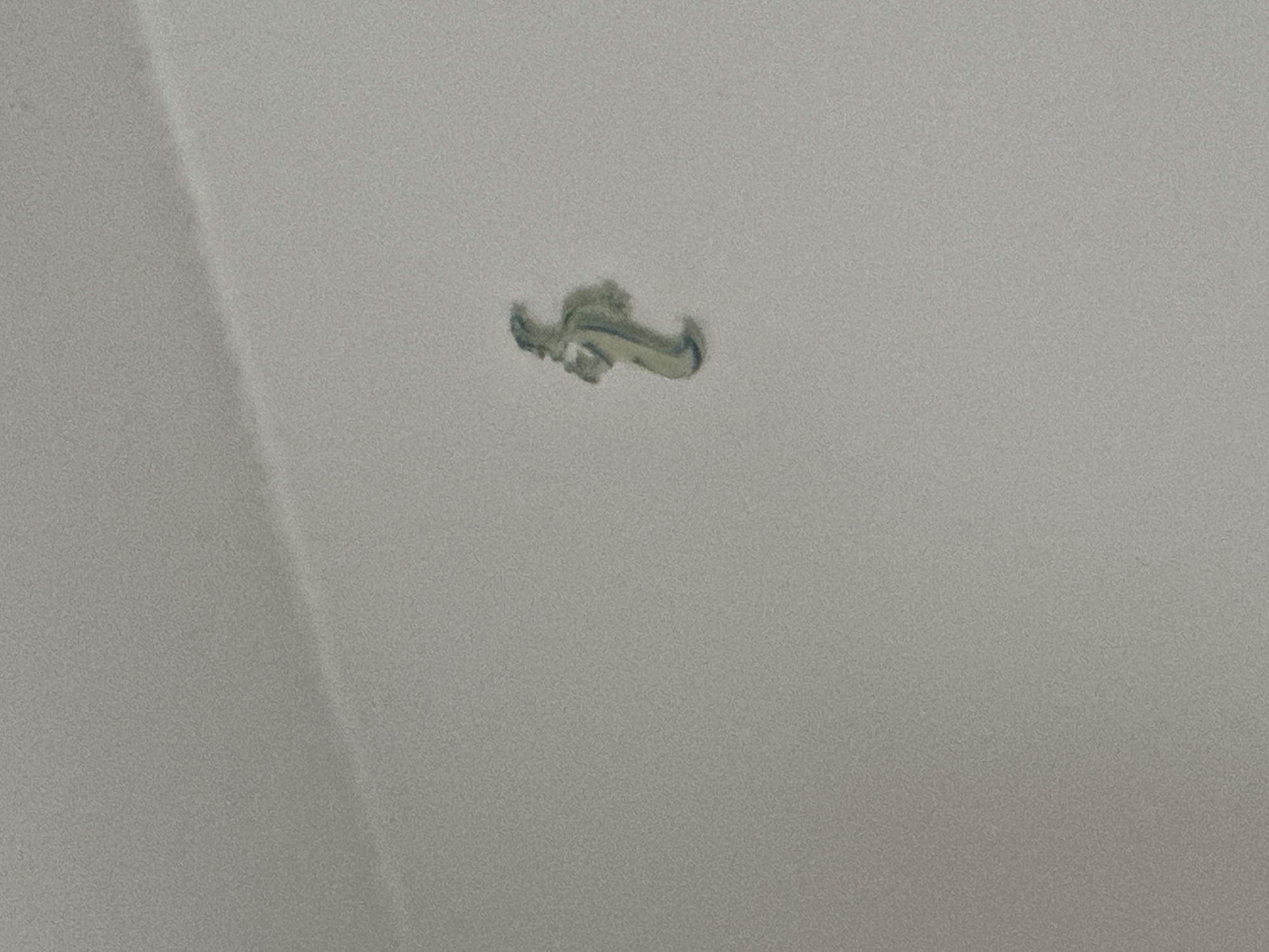 The image depicts damage to a white ceiling. The damage appears as a tear or gouge, with some dislodged material hanging loose. The overall texture of the ceiling is smooth, with a slight gradient in lighting. The location of the city of Zhiten, Bulgaria, cannot be determined from the image.