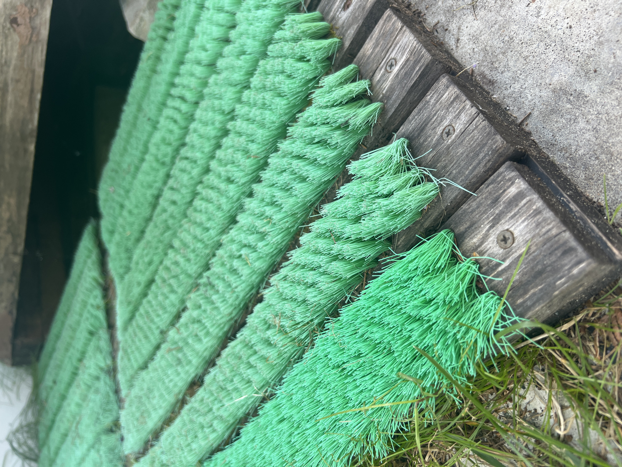 The image shows a close-up, eye-level view of several rows of bright green brush mats laid out on weathered wooden planks. The mats appear to be made of dense, short bristles. The planks are arranged parallel to each other, with visible screws securing them. To the left of the planks, there is grass and some dirt. To the right, there is a concrete surface. In the background, a dark, shadowy area suggests a recess or overhang, possibly a wooden structure. The lighting is natural, casting soft shadows. There are no people or animals visible in the frame. The scene is outdoors, likely in a garden or entryway, given the presence of grass and the utilitarian nature of the brush mats. The location is specified as Роса Снт, Russia.