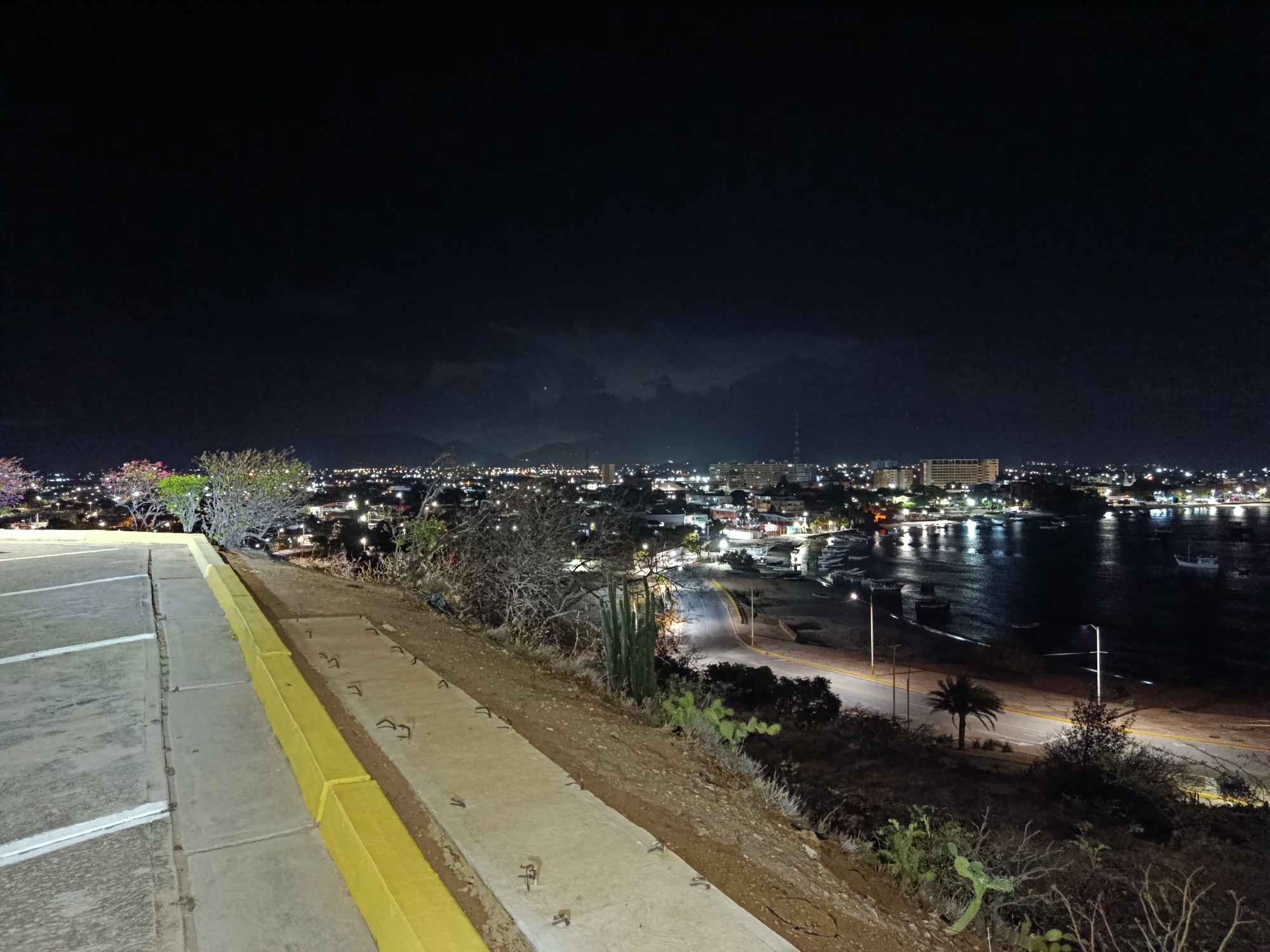 The image captures a nighttime view of Juan Griego, Venezuela, overlooking the city and bay. The foreground features a concrete retaining wall with a yellow edge. Vegetation is present on the slope below the wall, including cacti, shrubs, and a palm tree. A road runs along the base of the slope, illuminated by streetlights. In the middle distance, the city is spread out, with lights from buildings and streets reflecting on the bay. The water is dotted with boats. The background consists of a dark sky with some visible clouds and mountains in the distance.