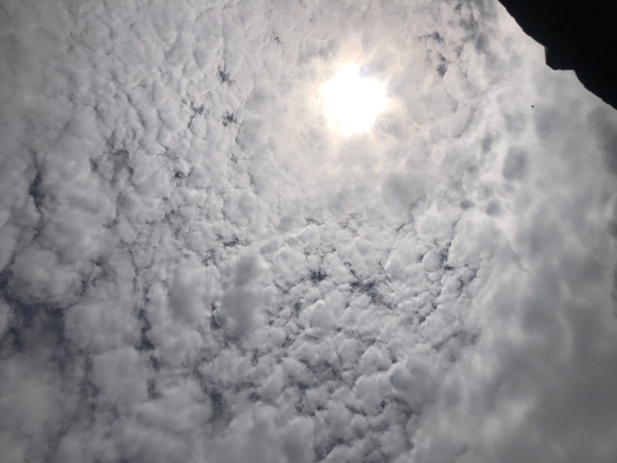 The image depicts an outdoor scene in an unspecified location within the city of Unknown, Unknown, primarily focused on the sky. The sky is largely covered by a dense formation of small, broken, and patchy clouds, characteristic of an altocumulus pattern. These clouds present a predominantly gray and white coloration, with darker blue-gray sections visible where the sky shows through. An intensely bright sun, appearing as a significant white glare, is positioned in the upper-right quadrant, partially obscured by the cloud cover but illuminating the surrounding clouds. In the lower-right corner, an irregular dark silhouette of what appears to be a natural landform or an architectural structure is visible, extending diagonally upwards into the frame. A small, dark, indistinct object, possibly a bird in flight, is observable in the lower-middle section of the image. No people or specific interactions are visible.