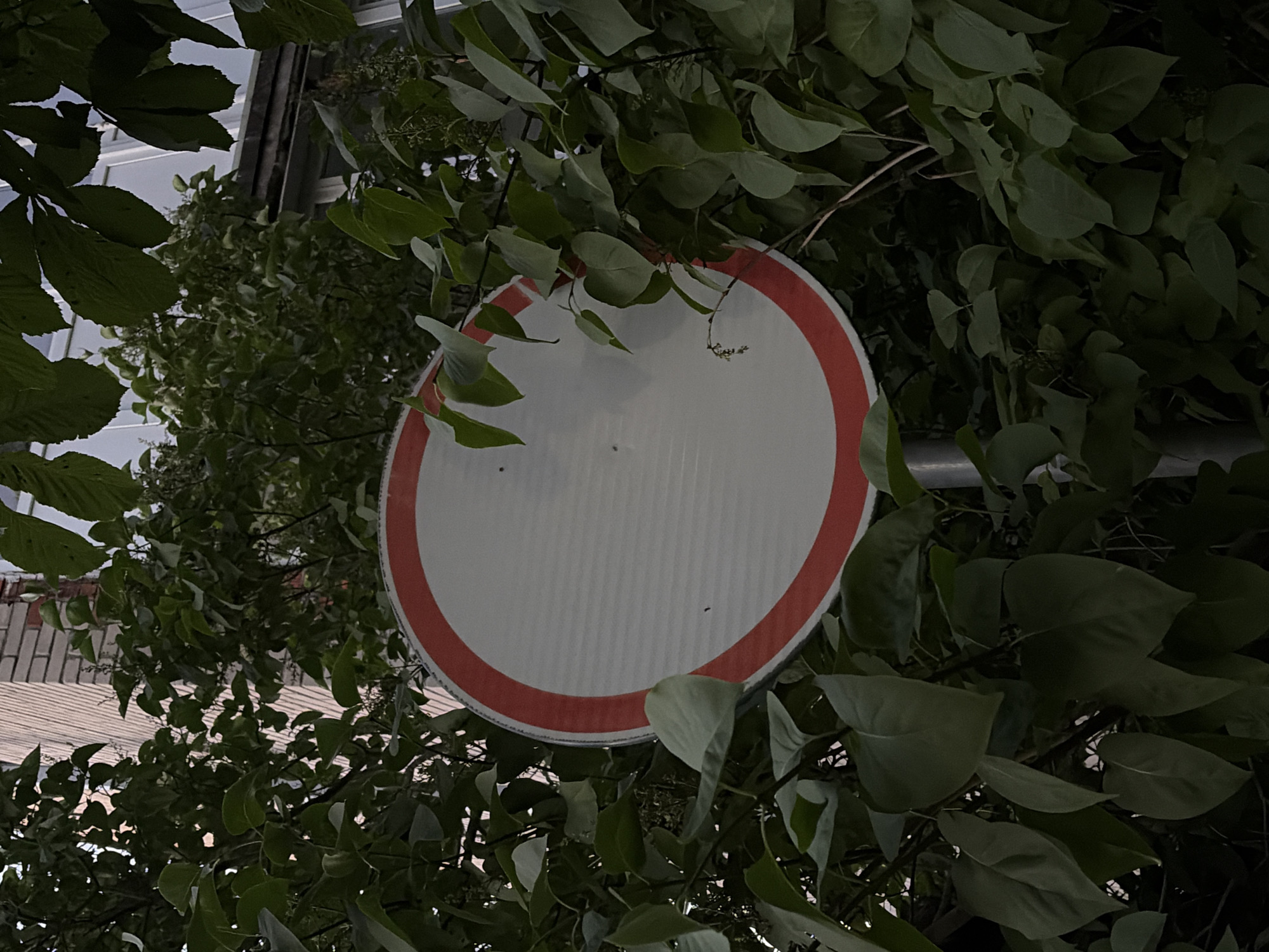 An oval, white traffic sign with a red border is partially obscured by dense green foliage. The sign is mounted on a grey metal pole. Behind the sign and foliage, a brick building with horizontal bands of light-colored material is visible. The environment appears to be outdoors, possibly in a park or overgrown area within a city.