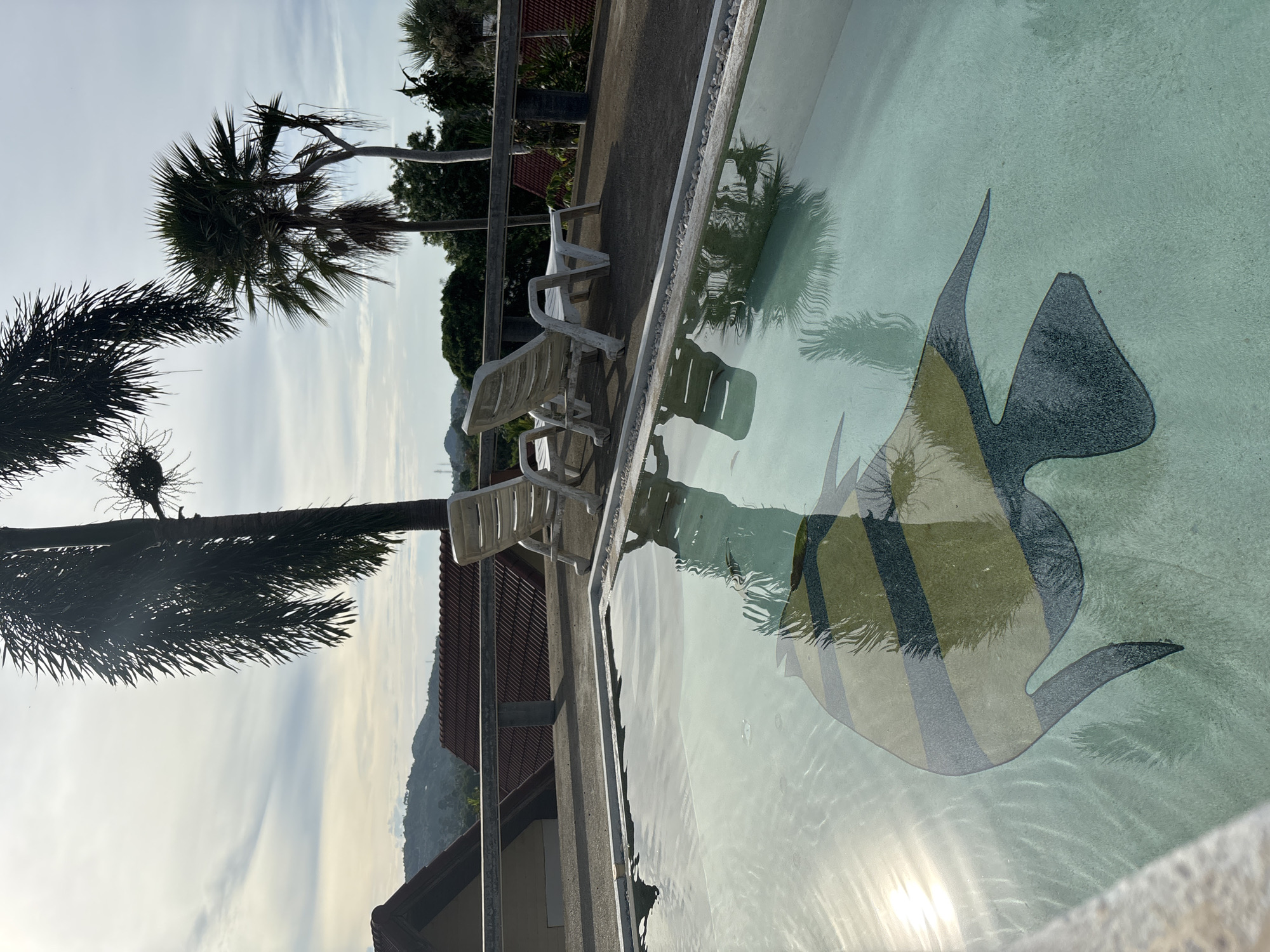 The image shows a rooftop swimming pool in Ban Rak, Thailand. Two empty white lounge chairs are positioned on the deck next to the pool. The pool itself is filled with clear water, and a mosaic of a fish is visible on the bottom. Palm trees and distant hills are visible in the background, under a cloudy sky. The sun is shining, creating reflections on the water's surface.