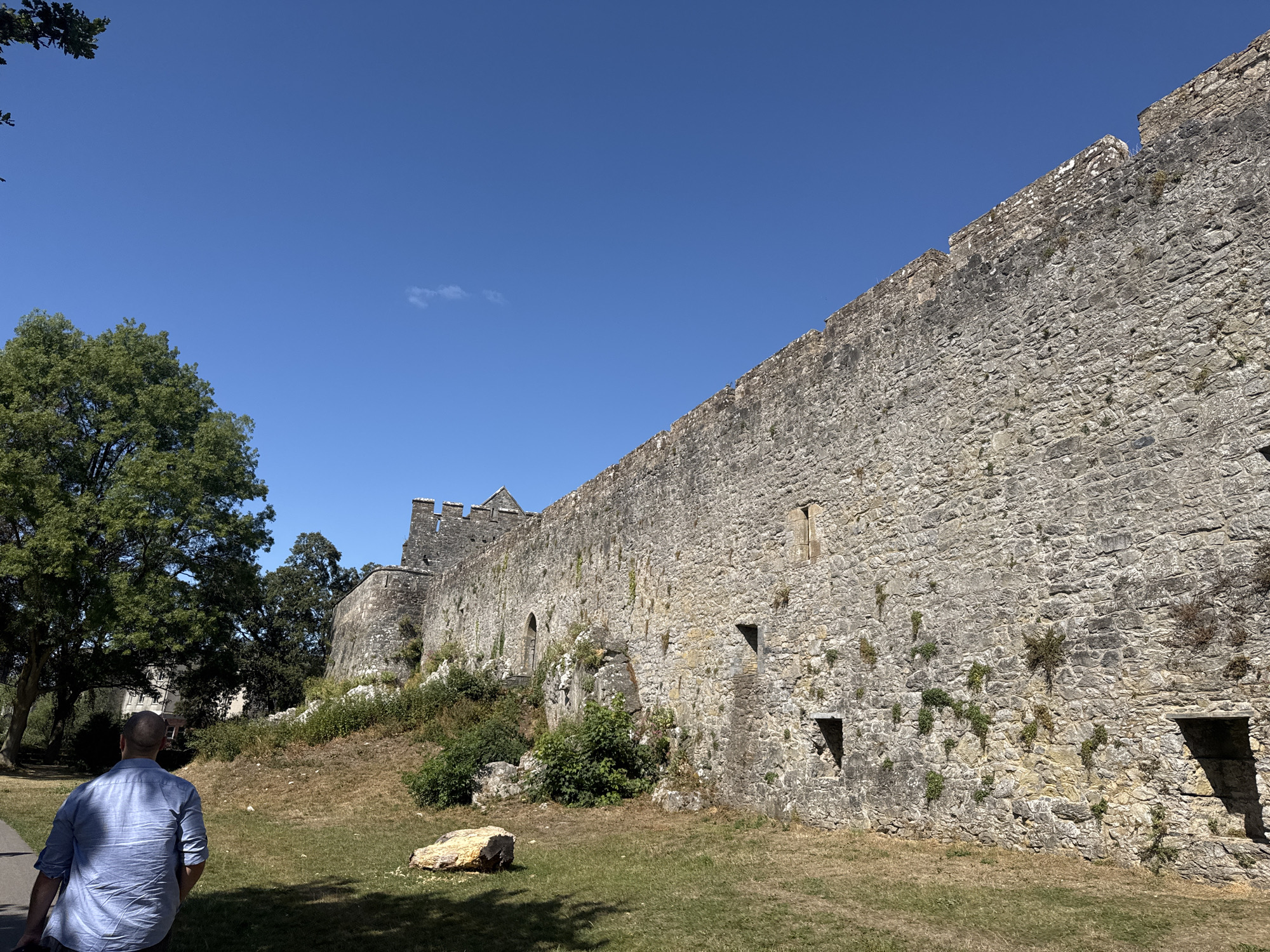 In the city of Cahir, Ireland, a man wearing a blue striped shirt walks on a grassy area in front of a large stone castle wall under a clear blue sky. The castle wall, made of rough-hewn stones, stretches diagonally across the frame, with battlements visible at the top. Small plants and patches of moss grow on the weathered stone. To the left of the wall, lush green trees provide shade, and a building can be seen in the distance. A large, light-colored rock lies on the grass in the foreground. The man is seen from behind, and his body is partially obscured by his shirt. The overall scene depicts a sunny day at a historical landmark.