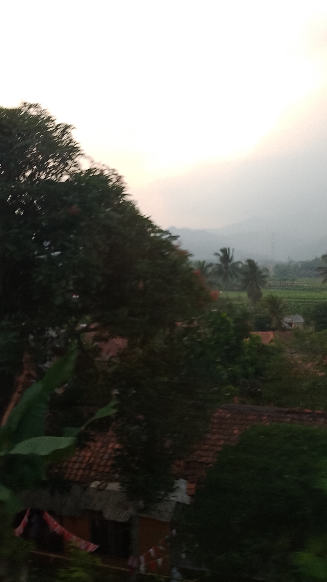 The image depicts a hazy, overcast sky above a rural landscape in Purwakarta, Indonesia. In the foreground, a dense canopy of dark green foliage dominates the left and central portions of the frame, obscuring much of the scene below. Hints of reddish-brown roofing tiles suggest the presence of houses nestled within the greenery. In the middle ground, the landscape opens up to reveal a vista of lush green rice paddies, interspersed with scattered palm trees and other vegetation. Faint outlines of hills or mountains are visible in the distant background, shrouded in the atmospheric haze. The overall impression is one of a quiet, natural setting, characteristic of the Indonesian countryside.
