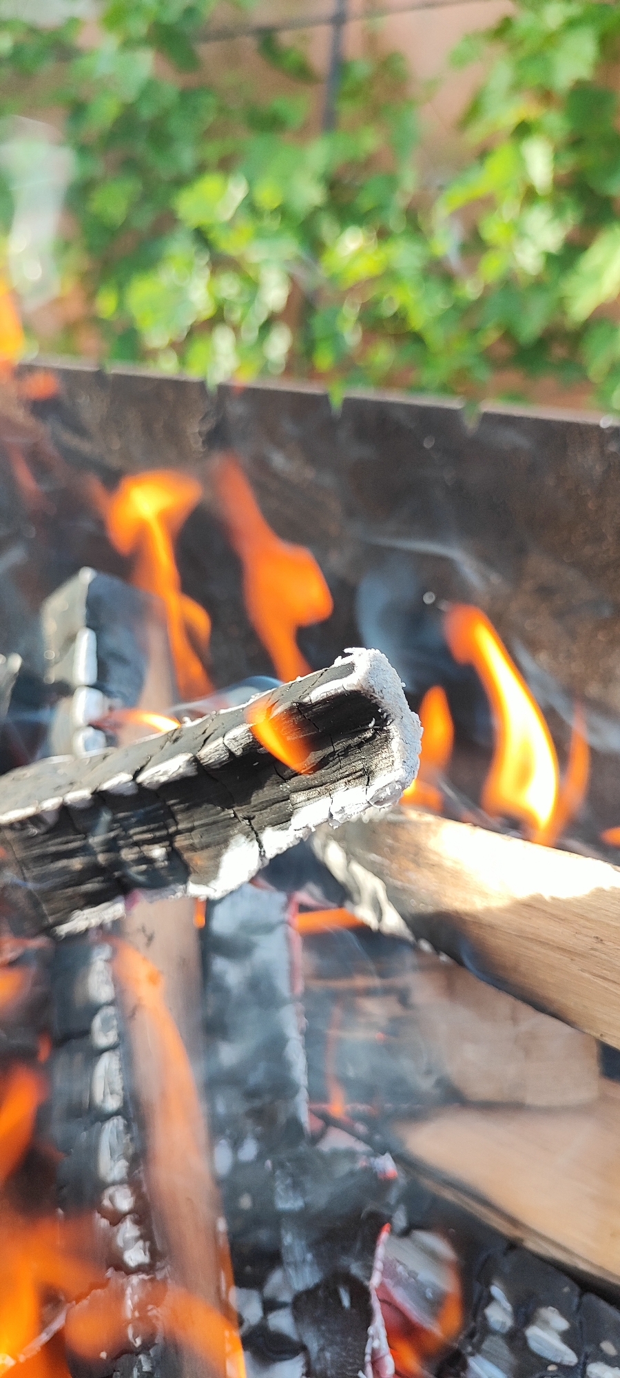 The image shows a close-up view of a campfire. Several pieces of firewood are burning, with visible flames and smoke. One piece of charred wood is in the foreground, showing cracks and a white, ashy surface. In the background, green foliage is out of focus, suggesting an outdoor setting, possibly in a garden or yard. The scene appears to be set in an area that could be rural or suburban. No people or animals are visible. The overall impression is of a controlled fire, likely for cooking or warmth. The location is identified as Лёзненскі сельскі Савет, Belarus.