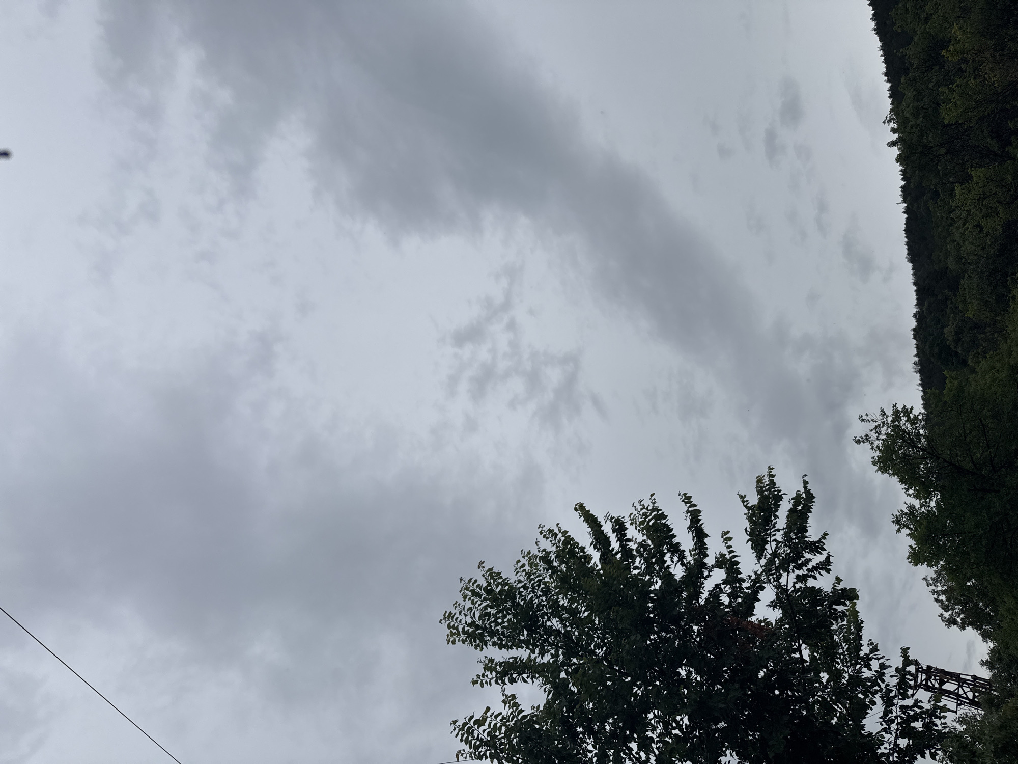 A telephone wire runs diagonally across the upper left quadrant of the image against a cloudy sky. In the lower left, the dark green foliage of a tree with many leaves is visible, extending into the middle left of the frame. Below the tree and slightly to the right, a dark, narrow, metal tower structure, possibly a pylon or electrical tower, is partially obscured. The middle ground features a dense, dark green forested hillside, with the trees appearing to be deciduous. The sky is overcast with various shades of grey clouds, some appearing wispy and others more solid. The scene appears to be outdoors, in a natural or semi-rural setting.