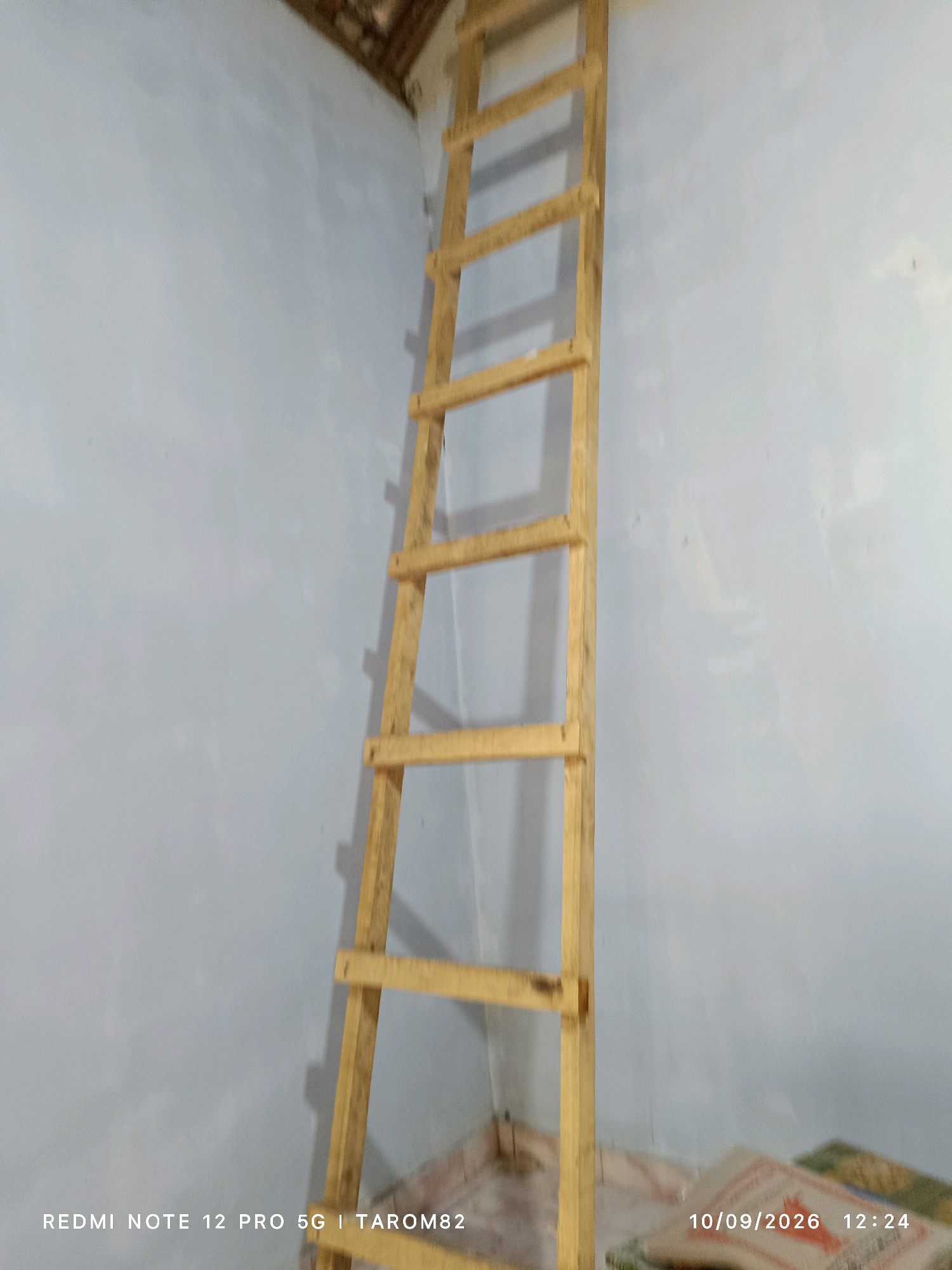 In the city of Rejoagung, Indonesia, an unfinished interior space features a tall, wooden ladder leaning against a light blue wall. The ladder, constructed from rough-hewn lumber, has numerous rungs, suggesting it's designed for reaching a high point. Shadows are cast on the wall by the ladder, indicating an artificial light source not visible in the frame. The ceiling appears to be unfinished, with exposed wooden beams. The floor is partially visible, covered with what looks like light-colored tiles and some fabric items. The lower right corner of the image displays a timestamp and text, reading "10/09/2026 12:24" and "REDMI NOTE 12 PRO 5G | TAROM82".