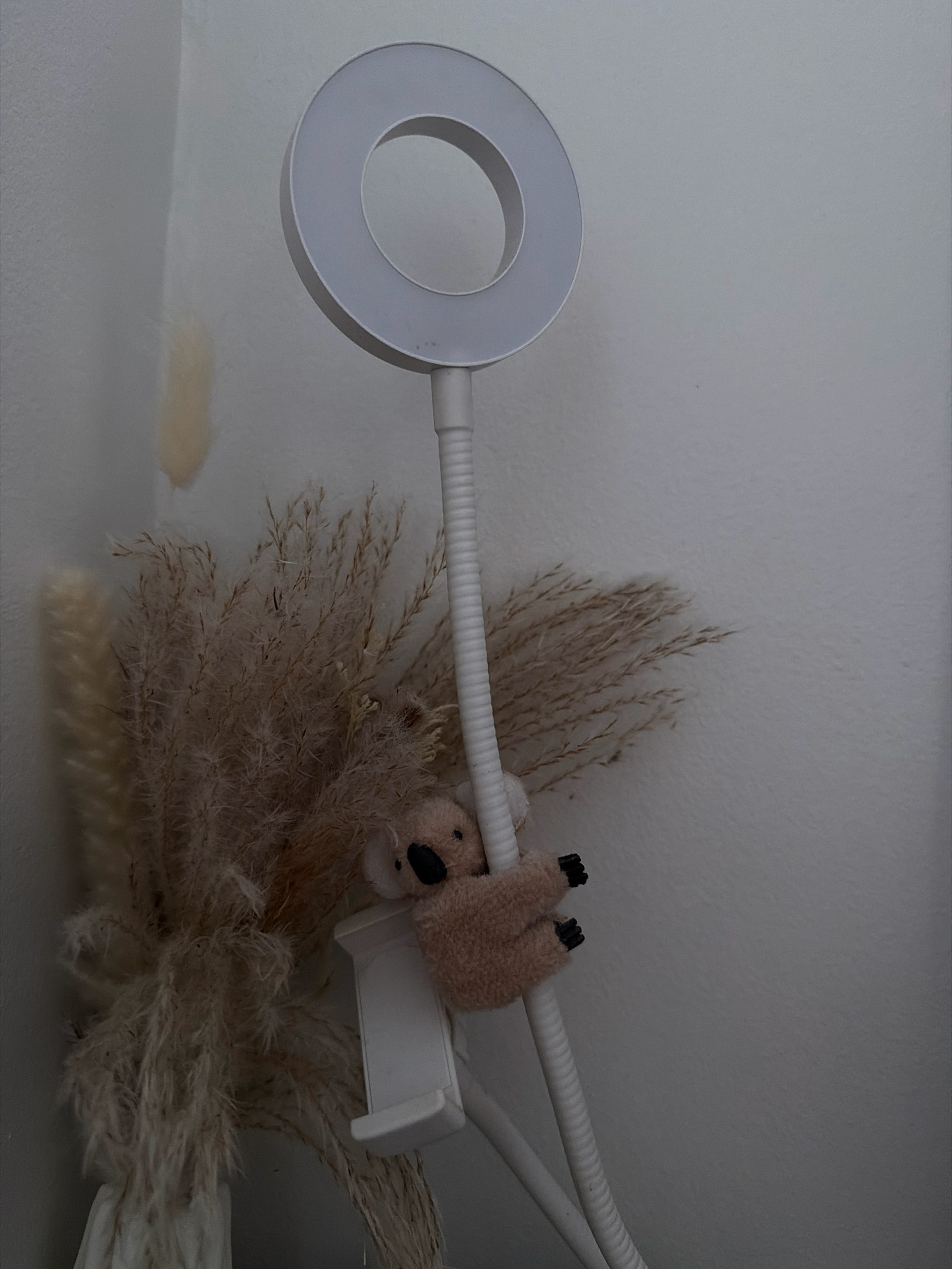 An indoor scene depicts a white ring light and a fluffy dried floral arrangement against a textured white wall. Attached to the flexible stand of the ring light is a small, plush koala toy, its paws gripping the white tubing. The koala is brown with black button eyes and a black nose. To the left of the koala and floral arrangement, a faint yellow stain is visible on the wall. The image appears to be captured from a slightly low angle. The specific location in Helsinki, Finland cannot be determined from the visual information provided.