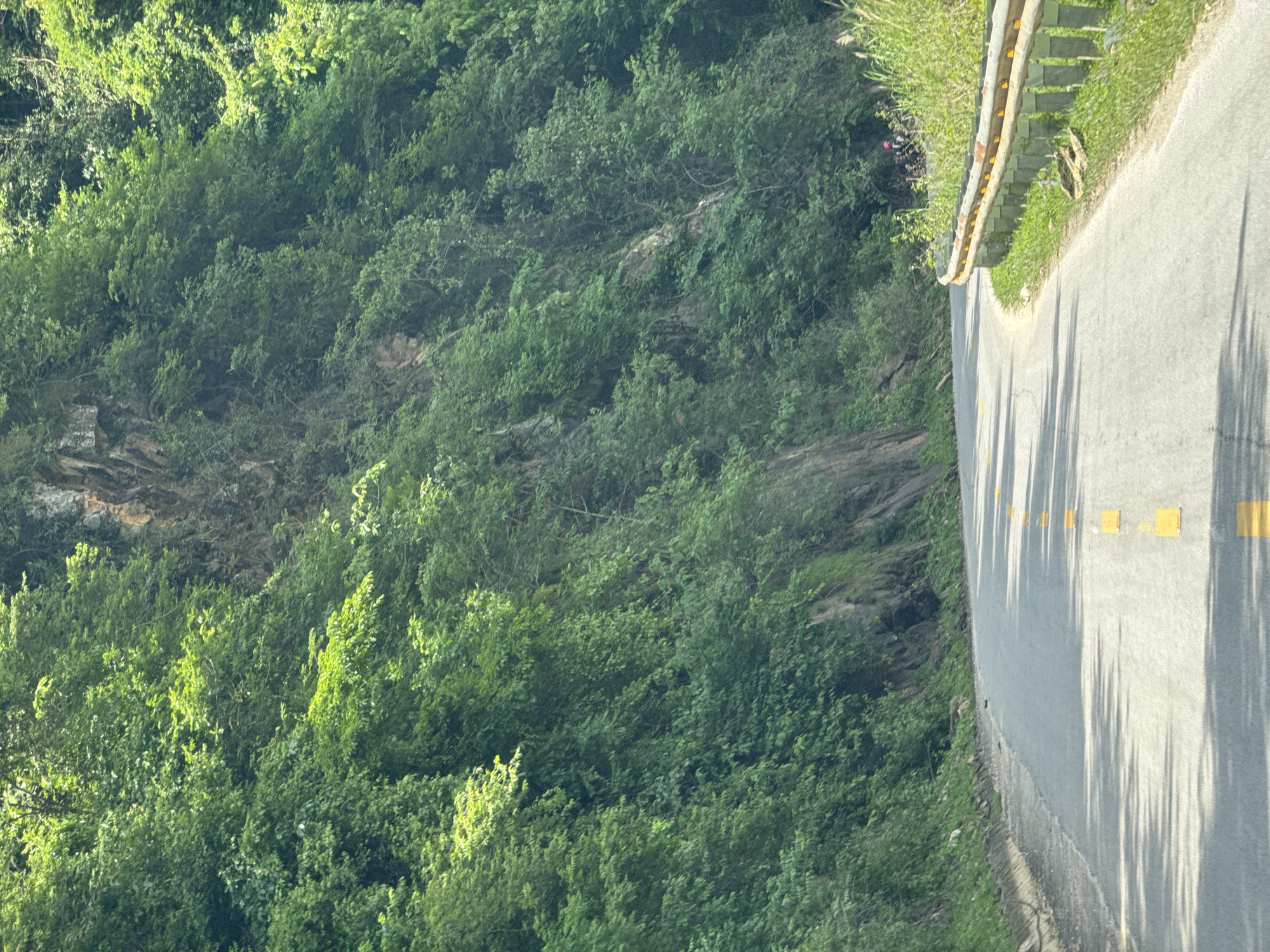 The image displays a winding, paved road cutting through a densely vegetated mountainous landscape, characteristic of Muong Kim, Vietnam. The asphalt road, marked with yellow dashed lines along its center, curves gently to the right as it recedes into the distance. A weathered, metallic guardrail with yellow reflective markers runs along the right edge of the road, overlooking the steep terrain.
To the left of the road and extending across the majority of the frame is a lush, green hillside covered in dense trees and shrubs. Patches of sunlight illuminate parts of the foliage, while other areas are shaded, revealing underlying rocky formations and soil. Long, distinct shadows, likely cast by roadside vegetation or overhead structures, stretch across the road surface, indicating either early morning or late afternoon. The scene appears tranquil, with no people or vehicles visible. The clear lighting suggests bright, sunny weather. No text is visible in the image.