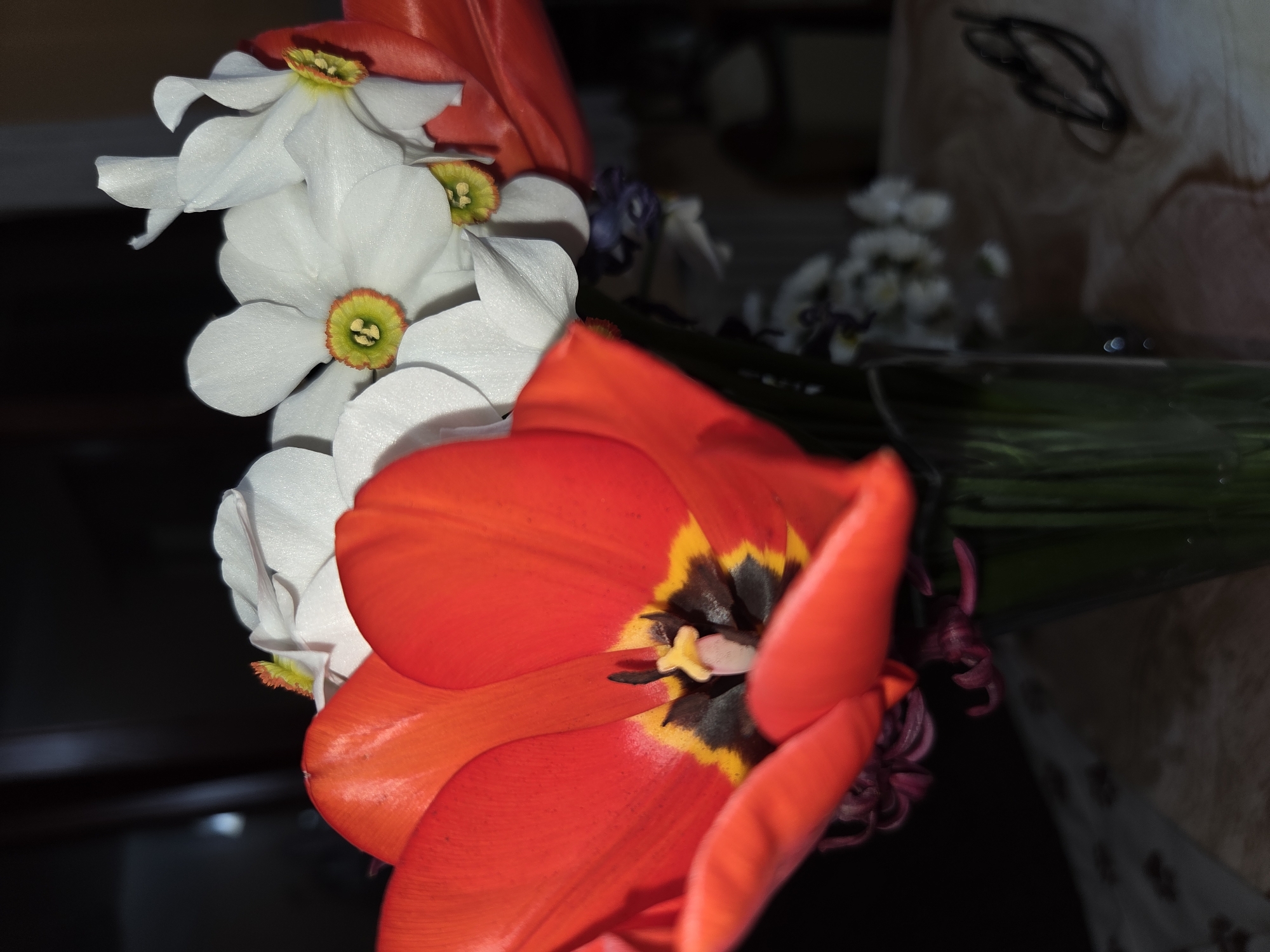 The image shows a close-up of a bouquet of flowers. A red tulip is prominently featured, with its petals open to reveal a black and yellow center. Next to the tulip are white narcissus flowers with yellow and green centers. The bouquet appears to be in a vase or container. The location is not discernible from the image.