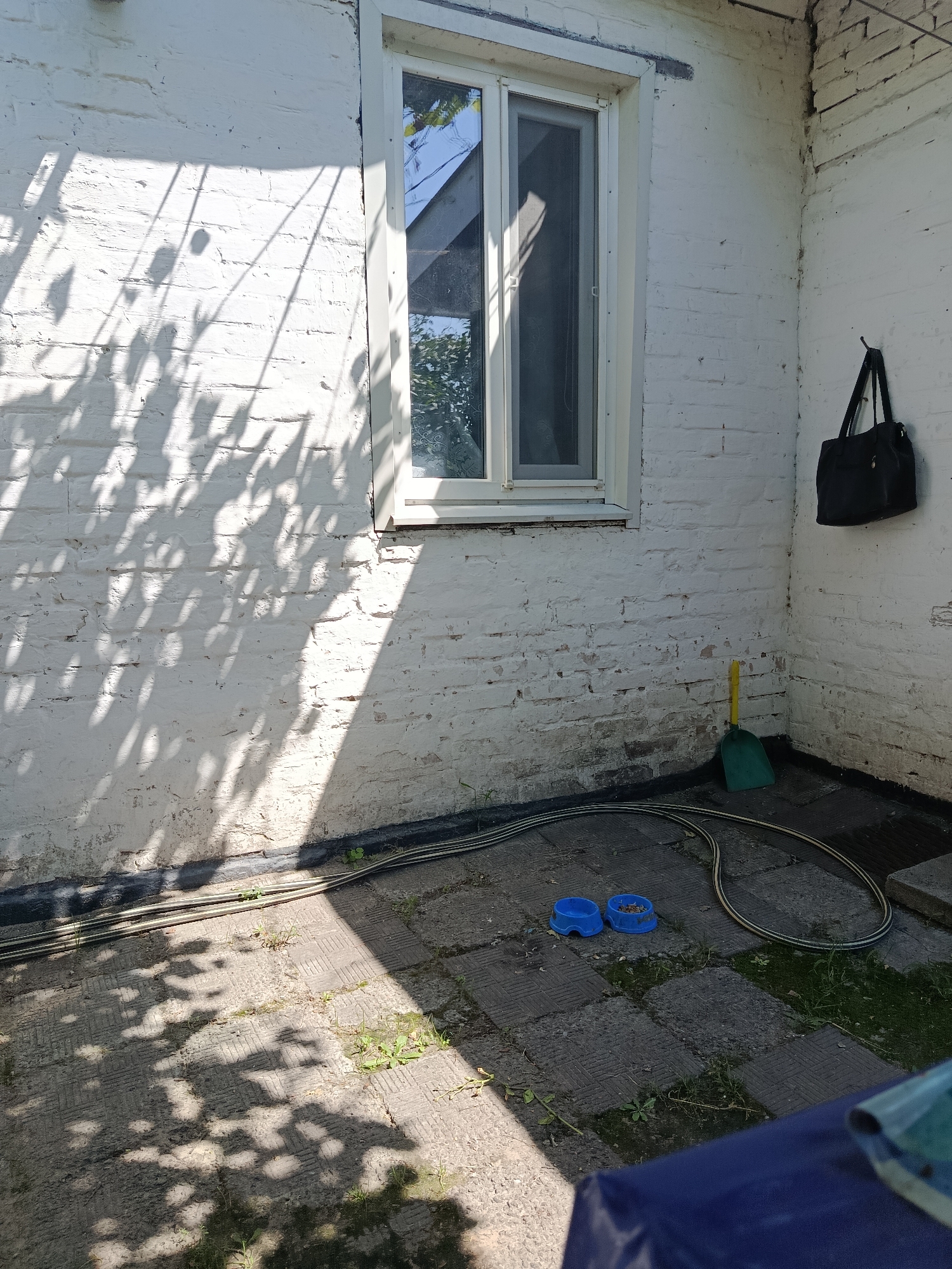 The image shows an outdoor corner of a building with a white brick wall. A window with a screen is visible on the wall, and sunlight casts shadows of leaves onto the wall. On the ground, there are two blue pet bowls, a green shovel with a yellow handle, and a coiled garden hose. A black handbag is hanging on the wall to the right of the window. The ground is paved with square concrete tiles, and some grass is growing between the tiles. The scene appears to be an exterior wall of a building, possibly a house or shed, in an outdoor area.