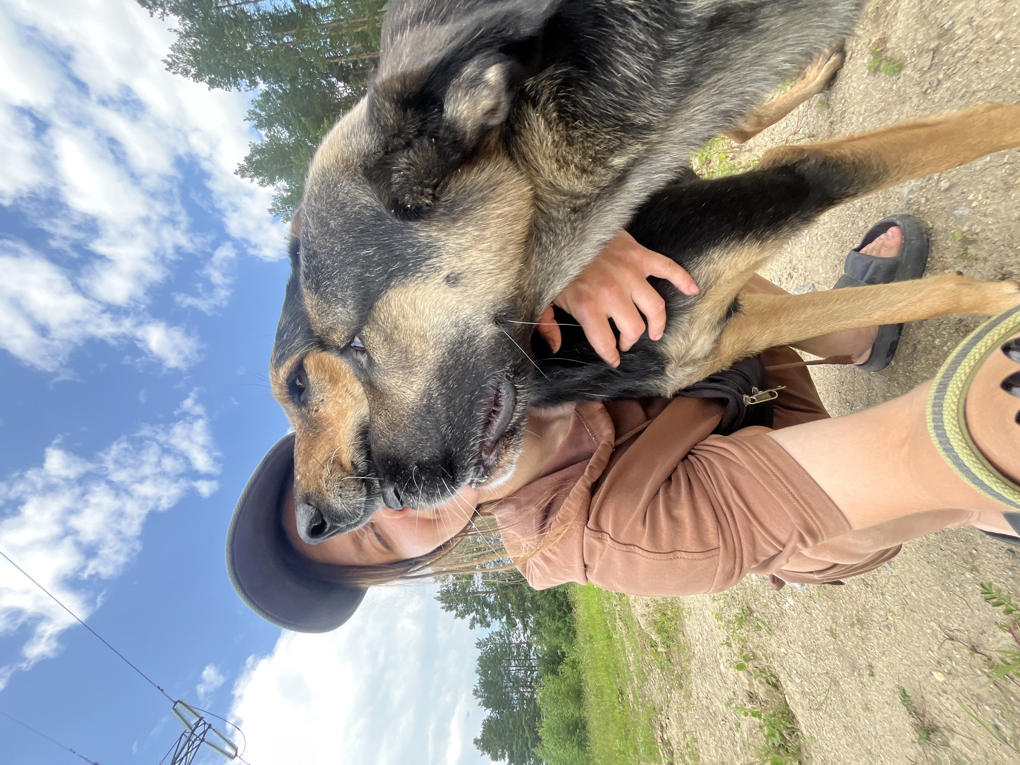 In a selfie taken outdoors, a young person wearing a brown hoodie and a dark hat is embracing a large dog. The person's face is partially obscured by the dog, but their eye and a portion of their smile are visible. The dog, which appears to be a mixed breed with brown and black fur, is nuzzling the person's face. The background suggests a rural or park-like setting with a dirt path, green grass, and a line of pine trees under a partly cloudy blue sky. There is a power line visible in the upper left corner. The image does not provide specific information to identify the location as Nizhny Tagil, Russia.