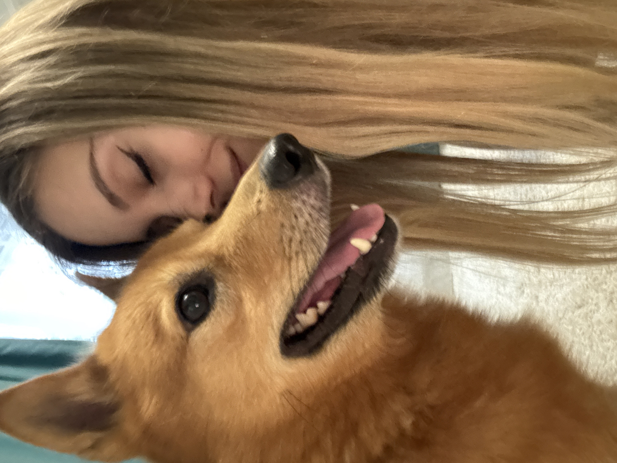 A young woman with blonde hair lies next to a golden-brown dog. The woman is seen from the side, with her eyes closed and her face turned towards the dog. Her blonde hair is long and falls over her face and the dog's head. The dog, a medium-sized breed, is looking up at the woman with its mouth open, revealing its tongue and teeth. The dog's fur is a warm, reddish-brown color. The scene appears to be indoors, with a soft, fuzzy blanket visible in the background. The lighting suggests it could be daytime, but the exact time of day is unclear. The overall mood of the image is one of closeness and affection between the woman and her pet. There is no visible text in the image.