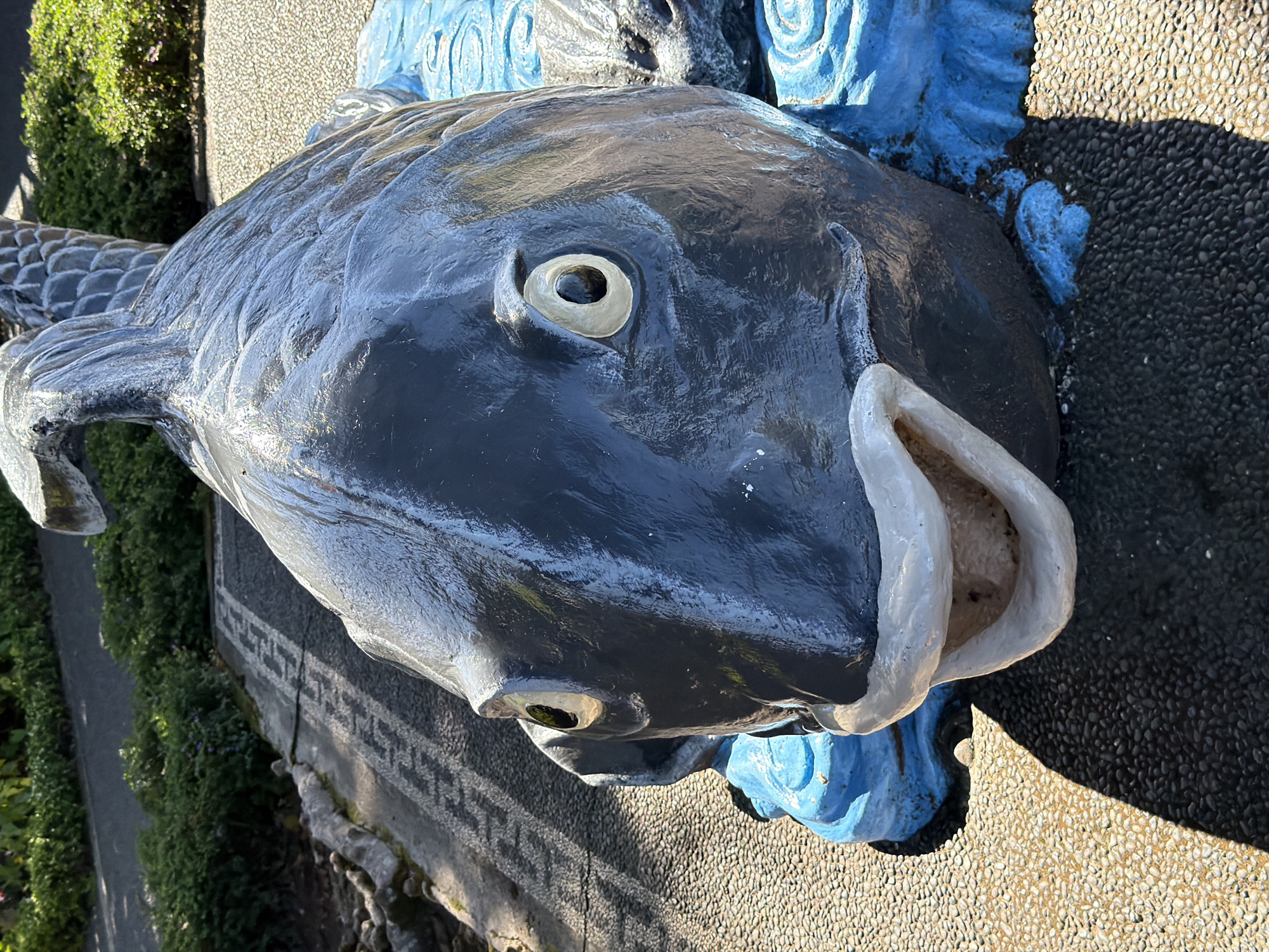 A close-up, eye-level, outdoor photograph captures a black, glossy statue of a fish situated in a garden setting. The statue, which is the primary subject, rests on a base of blue, wave-like decorations. The fish statue has a wide, open mouth with a lighter-colored interior and a rounded, protruding lip. Its eyes are large, circular, and yellow with black pupils, giving it a somewhat startled expression. The fish's body is textured with scales, and its head is large and prominent in the frame.
The ground surrounding the statue is a mix of dark and light gravel. To the left of the statue, a pathway with a decorative pattern of lighter stones inlaid into dark asphalt is visible. Beyond the pathway, a border of rough, light-colored stones lines a strip of dark earth, which is in turn bordered by lush green foliage. A shadow cast by the fish statue stretches across the gravel in the foreground. The background features more green vegetation, suggesting a well-maintained garden or park. The scene appears to be located in Baturiti, Indonesia, judging by the environmental context which is typical of tropical gardens in the region. There are no people or animals present in the image, and no discernible action is taking place.