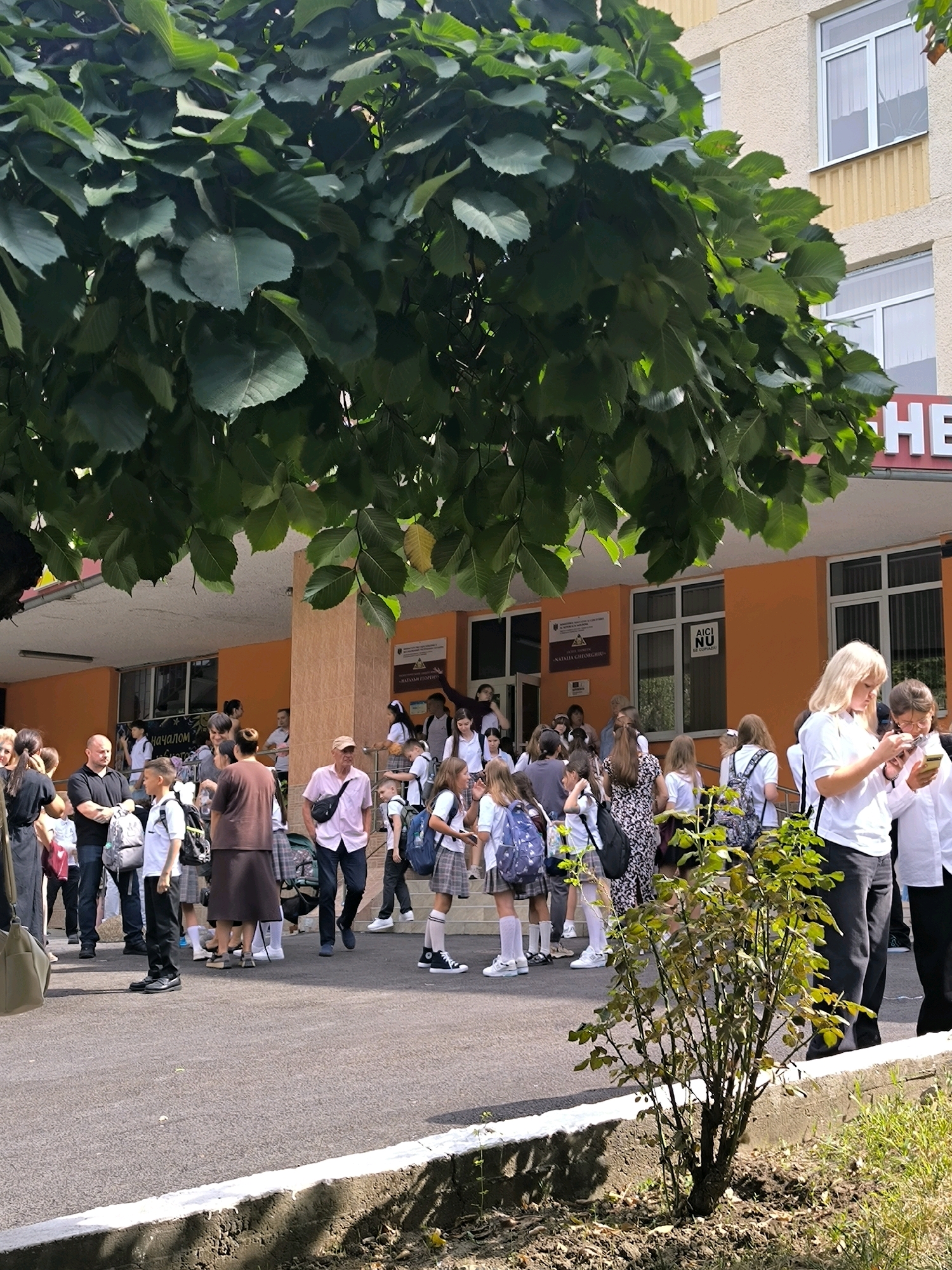 The image depicts the entrance of a school in Chișinău, Moldova, likely on a day when students are arriving or departing. The building is painted in light yellow and orange tones, with prominent windows and a sign that partially reads "EH". Large, leafy trees partially obscure the view of the building. A group of people, predominantly students in uniform (white shirts and plaid skirts for girls, white shirts and dark pants for boys), are gathered on the paved area in front of the school. Some students are carrying backpacks. Adults are also present, some appearing to be parents or guardians. The ground is paved with asphalt and concrete, with a small bush and some vegetation visible in the foreground. The overall atmosphere suggests a typical school day scene in Chișinău.