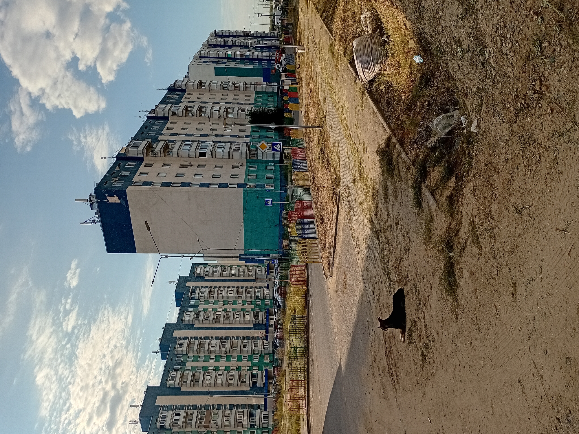 The image depicts a street scene in Semey, Kazakhstan, featuring a row of tall, modern apartment buildings with a distinct color scheme of teal and off-white, accented with dark blue at the top. The buildings have numerous balconies and windows, suggesting a residential area. In the foreground, a dark-colored dog is lying down on a dusty, unpaved area. A paved sidewalk runs alongside the unpaved area, and beyond that is a street with parked cars. A colorful, low fence with various colored sections separates the sidewalk area from the street and apartment buildings. The sky is partly cloudy, with a mix of white and wispy clouds against a clear blue backdrop. The overall environment appears to be an urban residential area undergoing development or with some areas of unkempt ground.