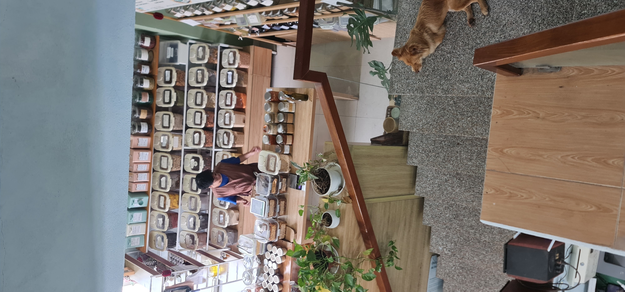 An interior view shows a bulk food store. An individual wearing a brown smock and blue shirt stands in front of a shelf filled with bins containing various items. A display of jars is positioned to the right. A dog stands on a grey tile surface near the entrance of the store. A staircase is visible adjacent to the display of jars. Potted plants are positioned alongside the stairs. Glass panes form part of the store's interior design. The location is Đà Nẵng, Vietnam.