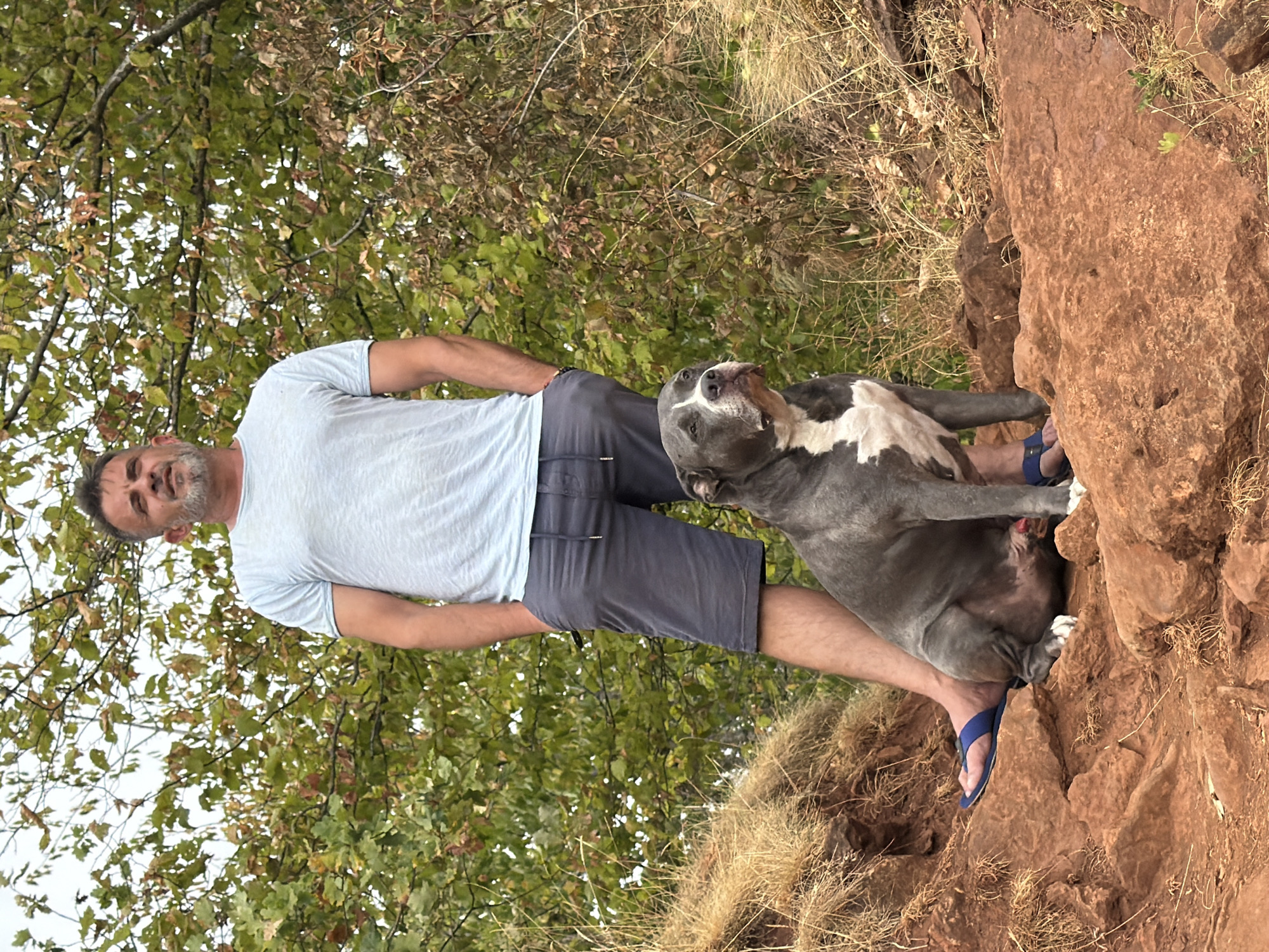In the city of Schifflange, Luxembourg, a middle-aged man stands with his hands in his pockets, wearing a light blue t-shirt and dark gray shorts, with blue flip-flops on his feet. Beside him, a large gray and white pit bull-type dog sits on reddish-brown rocky terrain. The background features dense green and brown foliage, with some dry grasses and branches visible. The man and dog are positioned outdoors, on a hillside.