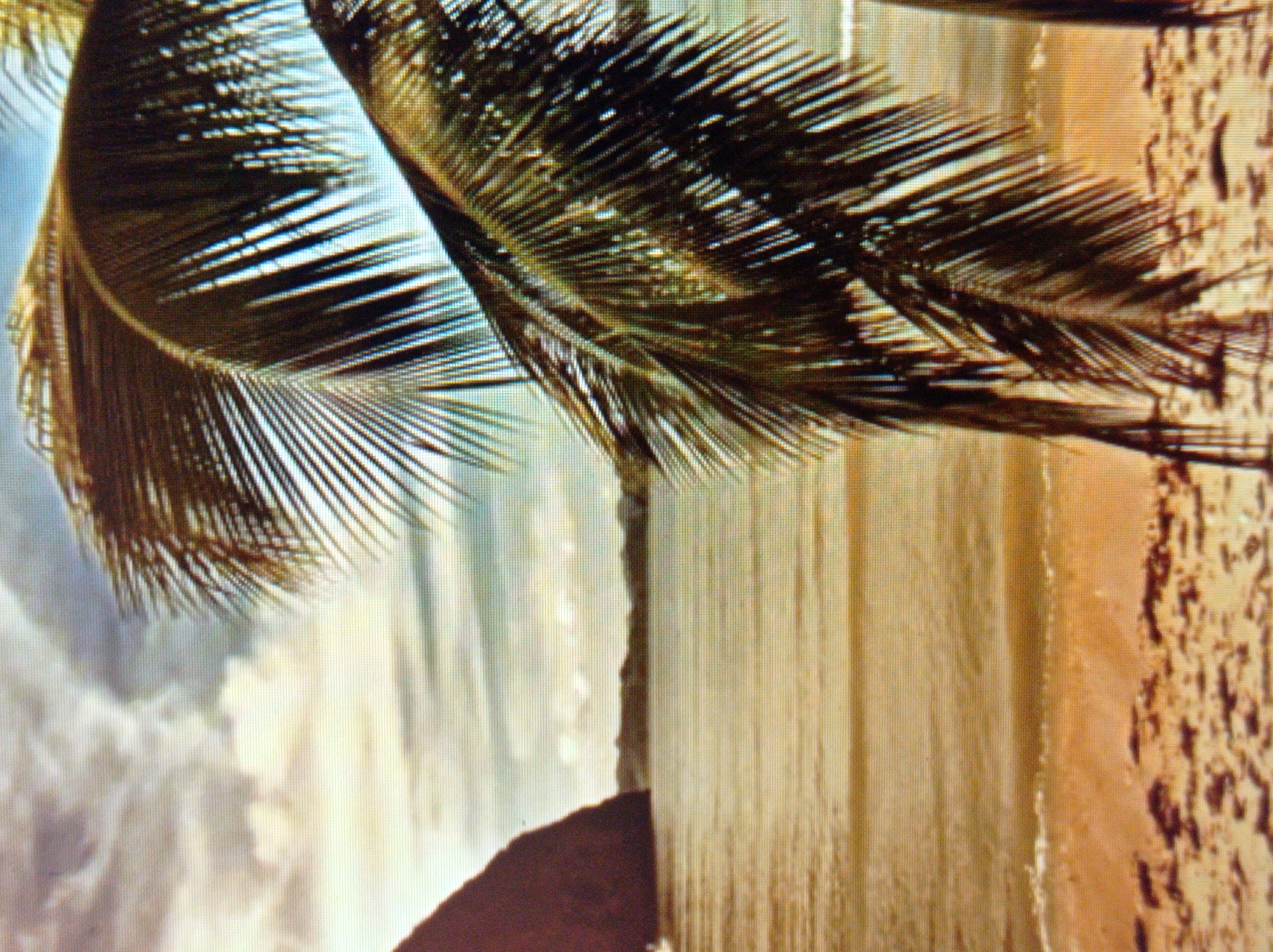 This is a photograph of a tropical beach scene. In the foreground, the fronds of a palm tree are prominently displayed, casting shadows and partially obscuring the background. The beach itself is sandy with some scattered debris, possibly seaweed. Beyond the sand, the calm ocean stretches out, with a gentle surf breaking near the shore. In the distance, there is a large, dark, rocky landmass or island on the left, and a hazy, mountainous or hilly shoreline across the water. The sky is cloudy, with patches of sunlight breaking through. The image is processed with a vintage or nostalgic filter, giving it a warm, slightly desaturated appearance. There are no people or structures visible in the photograph. This scene is not located in the city of Mukachevo, Ukraine, which is an inland city with a temperate climate and is not associated with tropical beaches or palm trees.