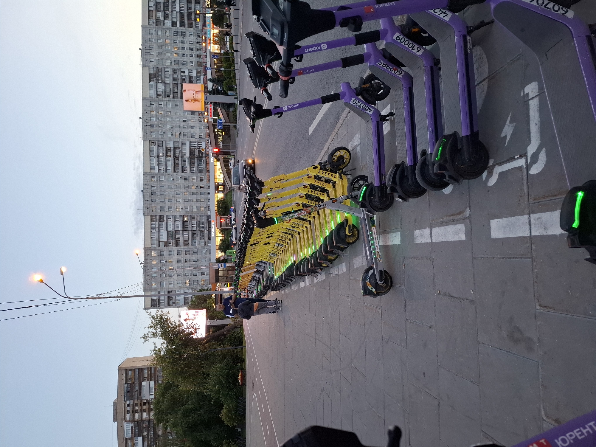 The image captures an outdoor scene in the city of Tyumen, Russia, likely during twilight. A row of parked electric scooters, predominantly yellow and purple, lines a paved pedestrian walkway. The scooters are arranged in two distinct groups. The yellow scooters are in a long line, facing forward, with their handles visible. The purple scooters are parked closer to the foreground and are also lined up, with their handles facing the viewer. Some of the purple scooters have illuminated green lights on their rear fenders.
In the background, a multi-story apartment building with numerous windows dominates the skyline. To the left of this building, another, older building is visible, partially obscured by trees. A street runs parallel to the walkway, with a few cars and pedestrians present. A traffic light is visible, showing a red signal. Several streetlights are also present, with some illuminated. The overall environment suggests an urban setting with a focus on the parking and availability of shared electric scooters.