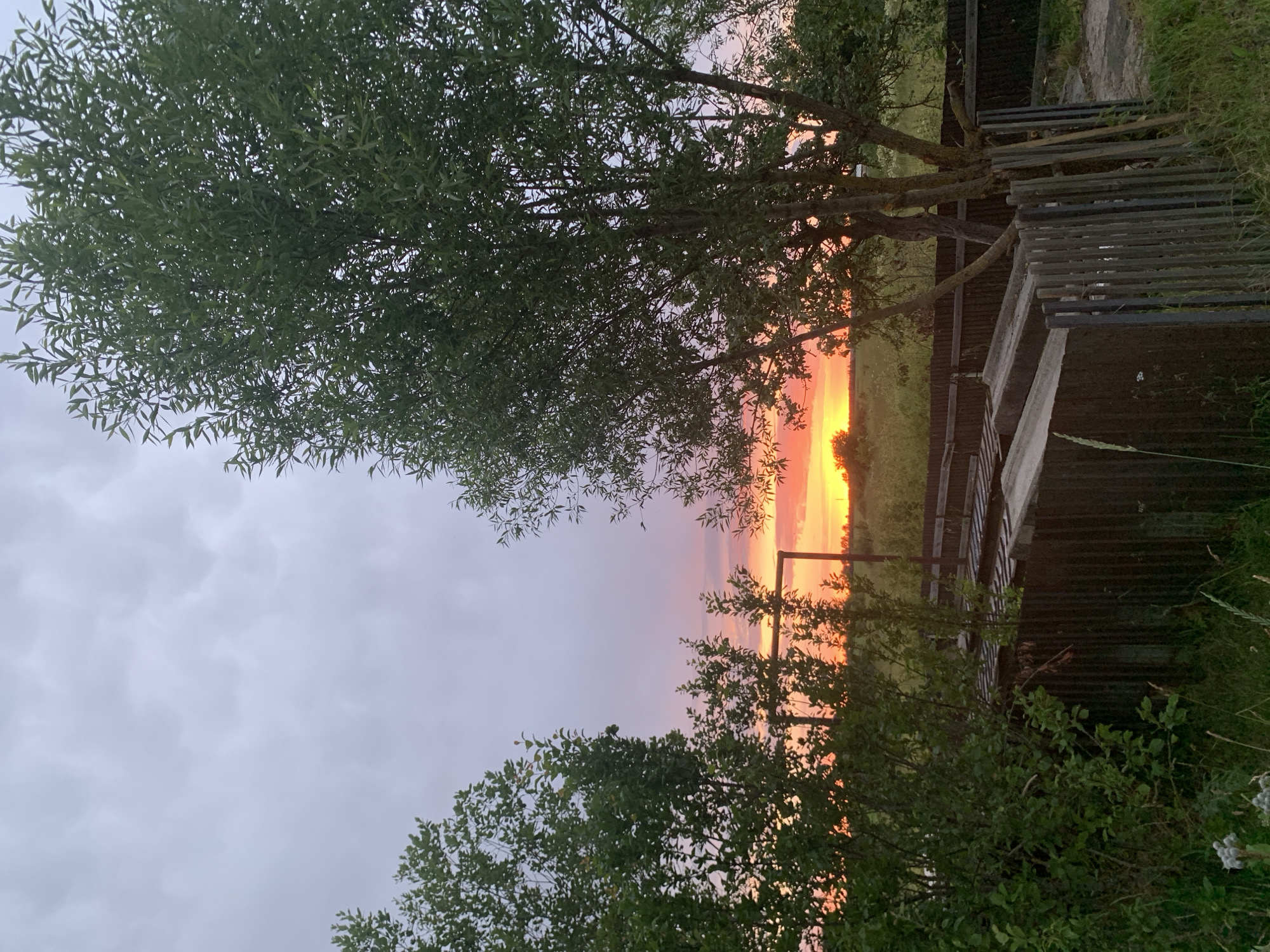 The image depicts a natural scene with a vibrant sunset in the background. The sky displays a gradient of colors, transitioning from a soft pink and orange near the horizon to a pale purple and gray higher up. Silhouetted against the sunset are trees with dense green foliage, framing the view. In the foreground and to the right, there is a wooden fence and some vegetation, including grass and bushes. The fence appears weathered and partially constructed from different materials, suggesting it might be part of a rural or undeveloped area. The overall atmosphere is serene and tranquil, with the natural beauty of the sunset being the focal point. The time of day is clearly evening, as indicated by the sunset. The weather appears to be clear with some clouds. The location context of Відзаўскі сельскі Савет, Belarus, suggests a rural or countryside setting. No people or text are visible in the image.
