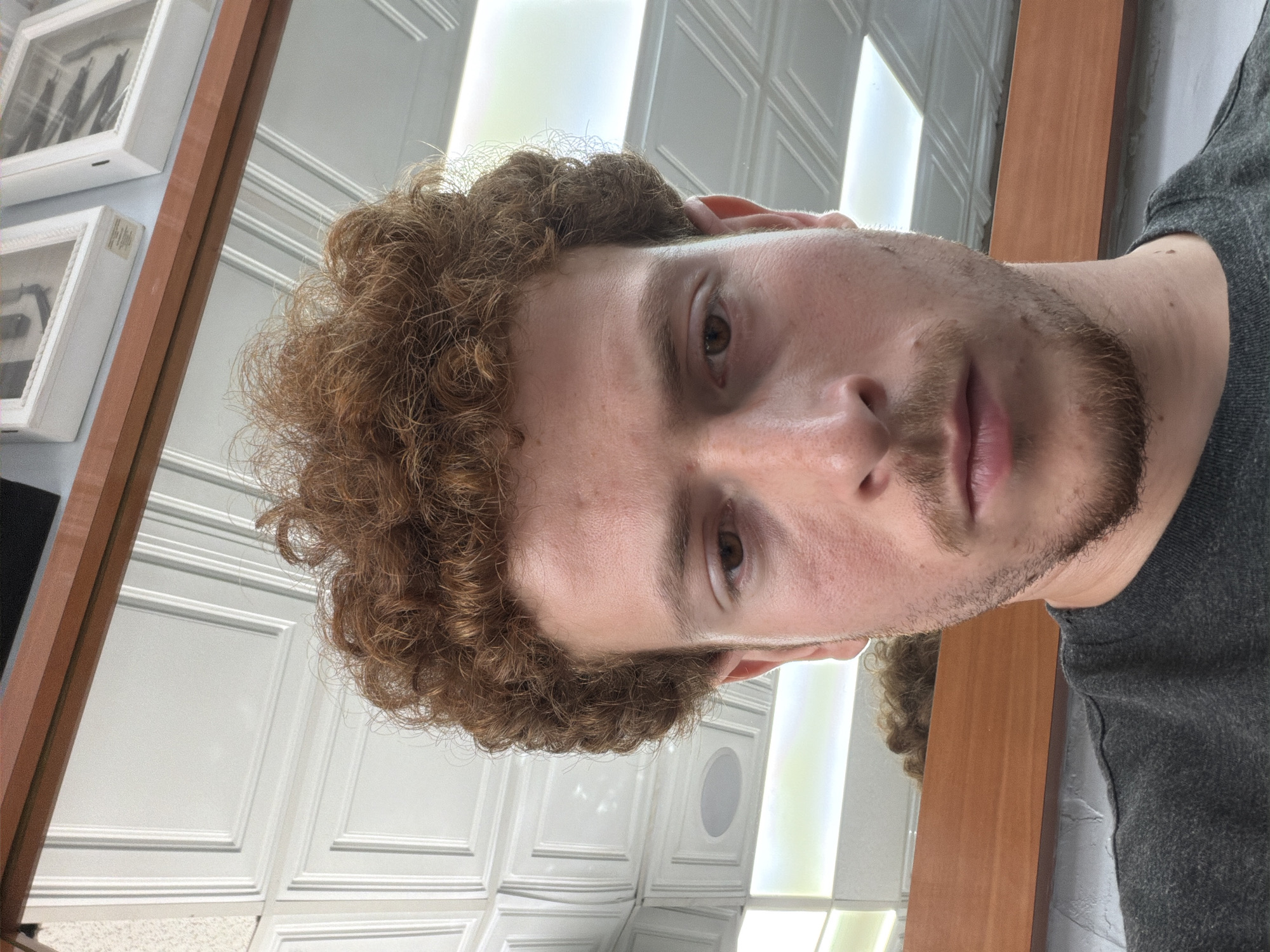 A man with brown curly hair and a trimmed beard poses for a selfie in front of a mirror. The reflection shows a white paneled wall and ceiling with recessed lighting. The man is wearing a gray shirt. Framed decorative objects are visible in the mirror, positioned above the man. The photo was taken indoors. No specific location within New York City can be determined from the image.