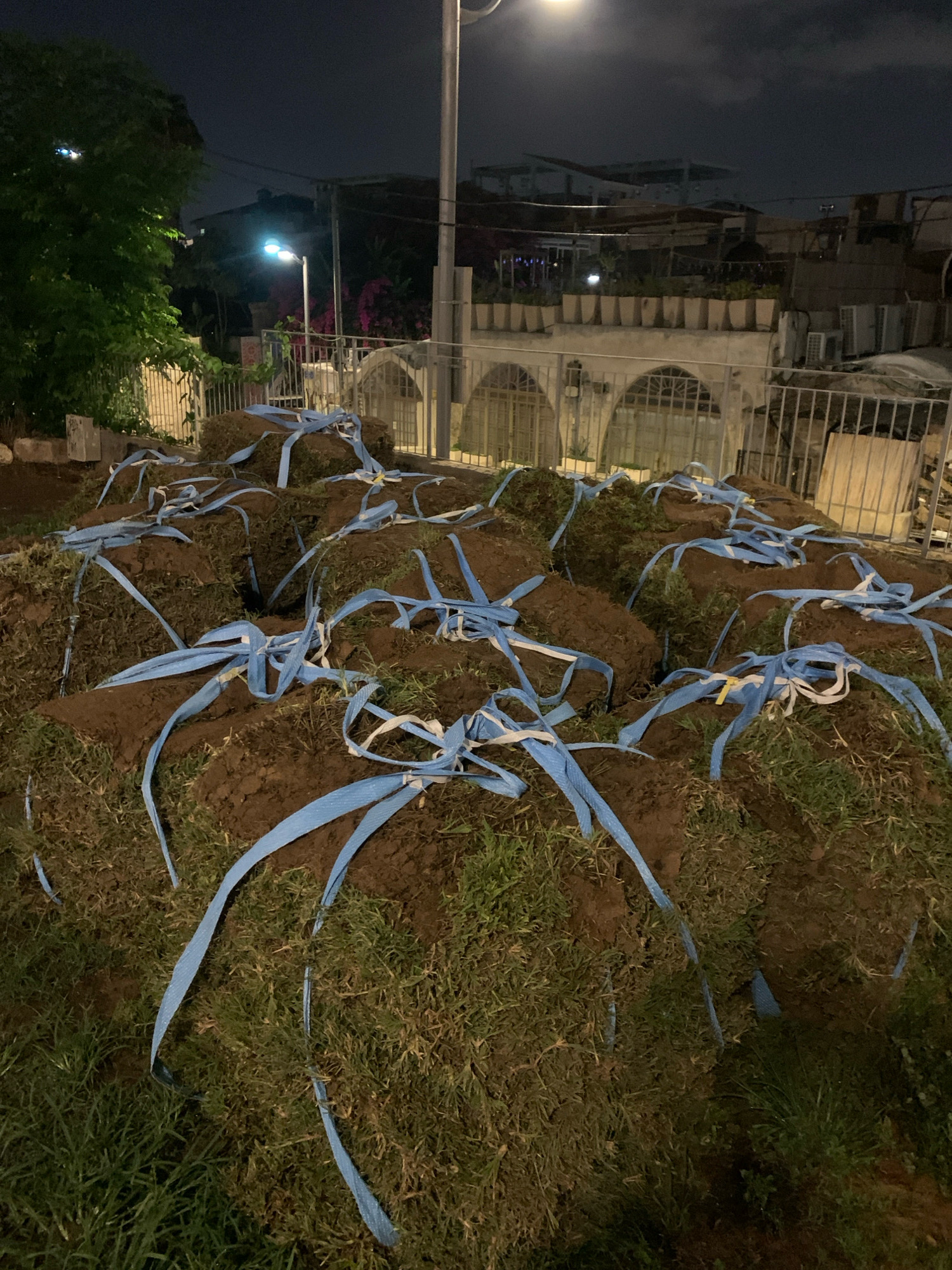 In Tel Aviv, Israel, at night, a large pile of sod rolls is visible on the ground, bound with blue straps. The sod appears to be recently delivered or prepared for installation. In the background, a streetlamp illuminates the scene, and beyond it, buildings and a fence can be seen. The environment suggests an outdoor setting, possibly a park or a construction site, with a tree to the left and a building with arched windows in the distance. The overall impression is one of a paused landscaping project in an urban environment.