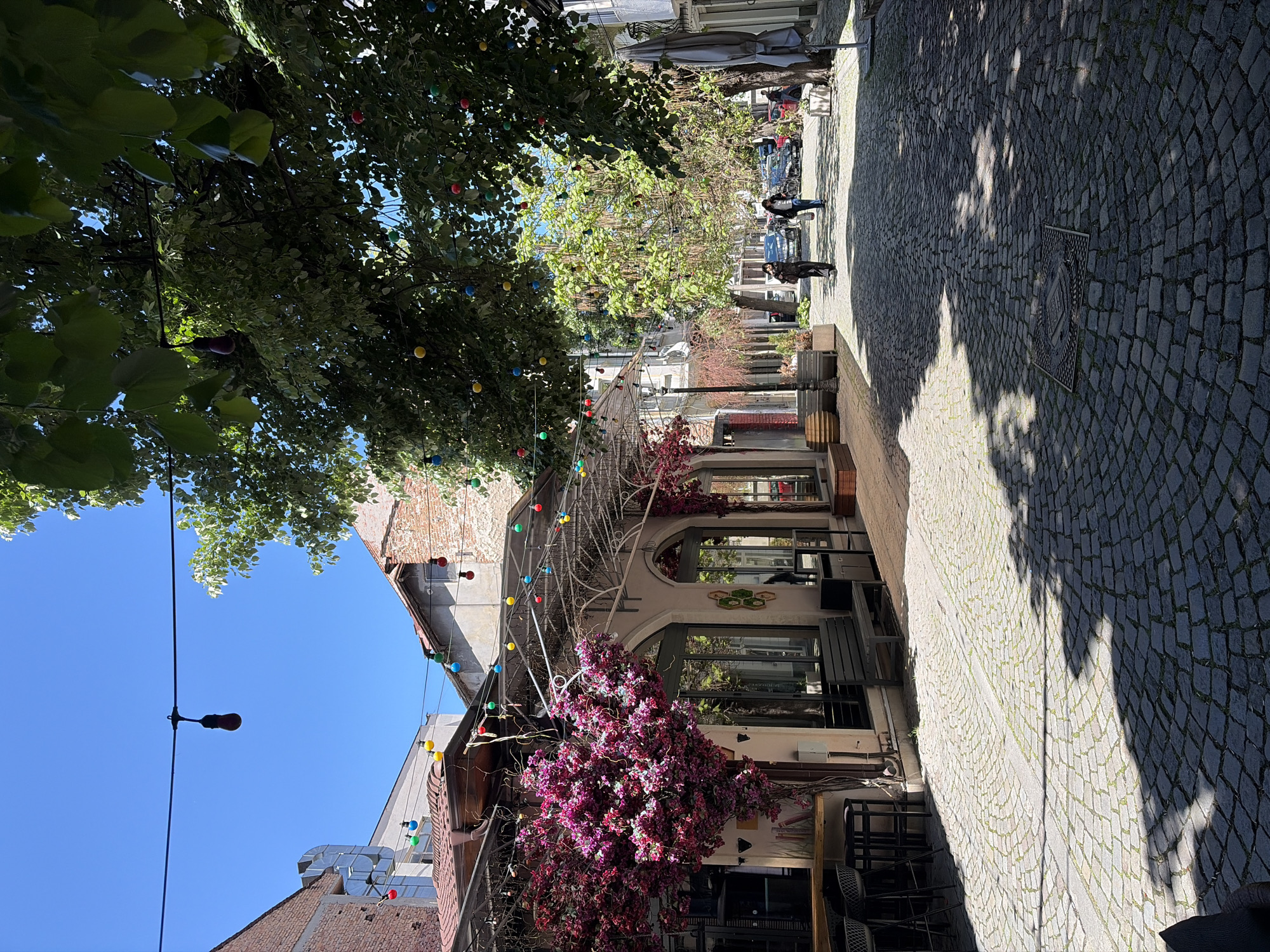The image shows a street in Unknown, Unknown with a cobblestone pavement under a canopy of trees and artificial lights. Two pedestrians are visible in the distance, walking on the right side of the street. The buildings along the street are varied, with one prominent building featuring an arched entryway and pink bougainvillea. The sky is clear blue.