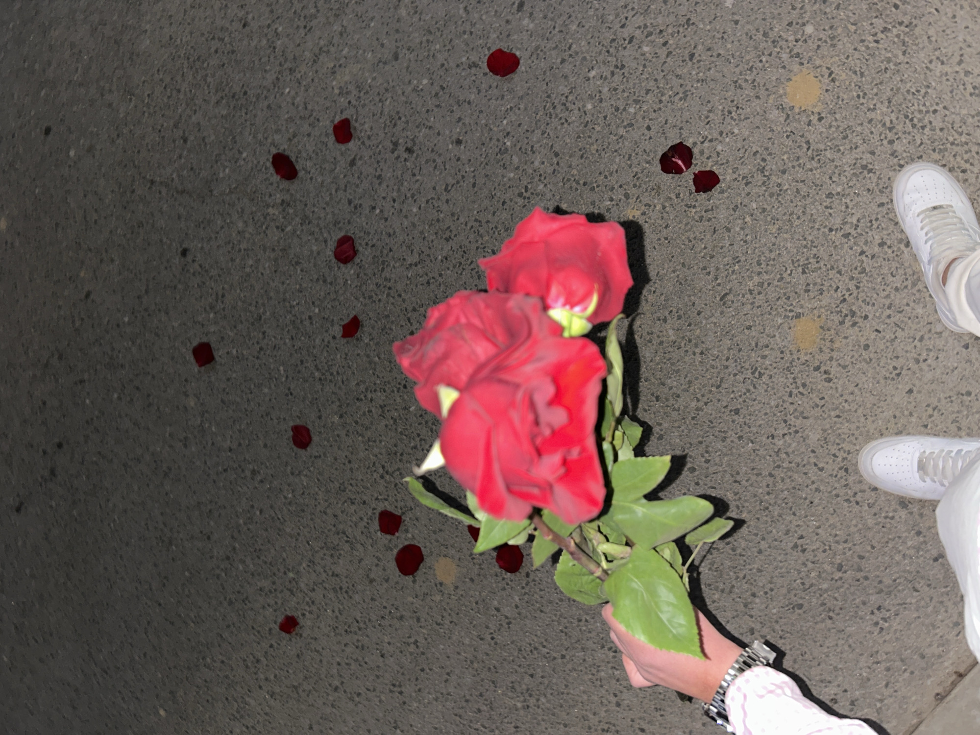 A person's hand is holding a bouquet of three red roses, lying on a textured gray asphalt surface, scattered with several red rose petals. In the top right corner of the image, a person wearing white sneakers and white pants is standing. The setting appears to be outdoors at night, possibly a street. Specific location in the city of Zlatograd, Bulgaria cannot be determined from the given image.