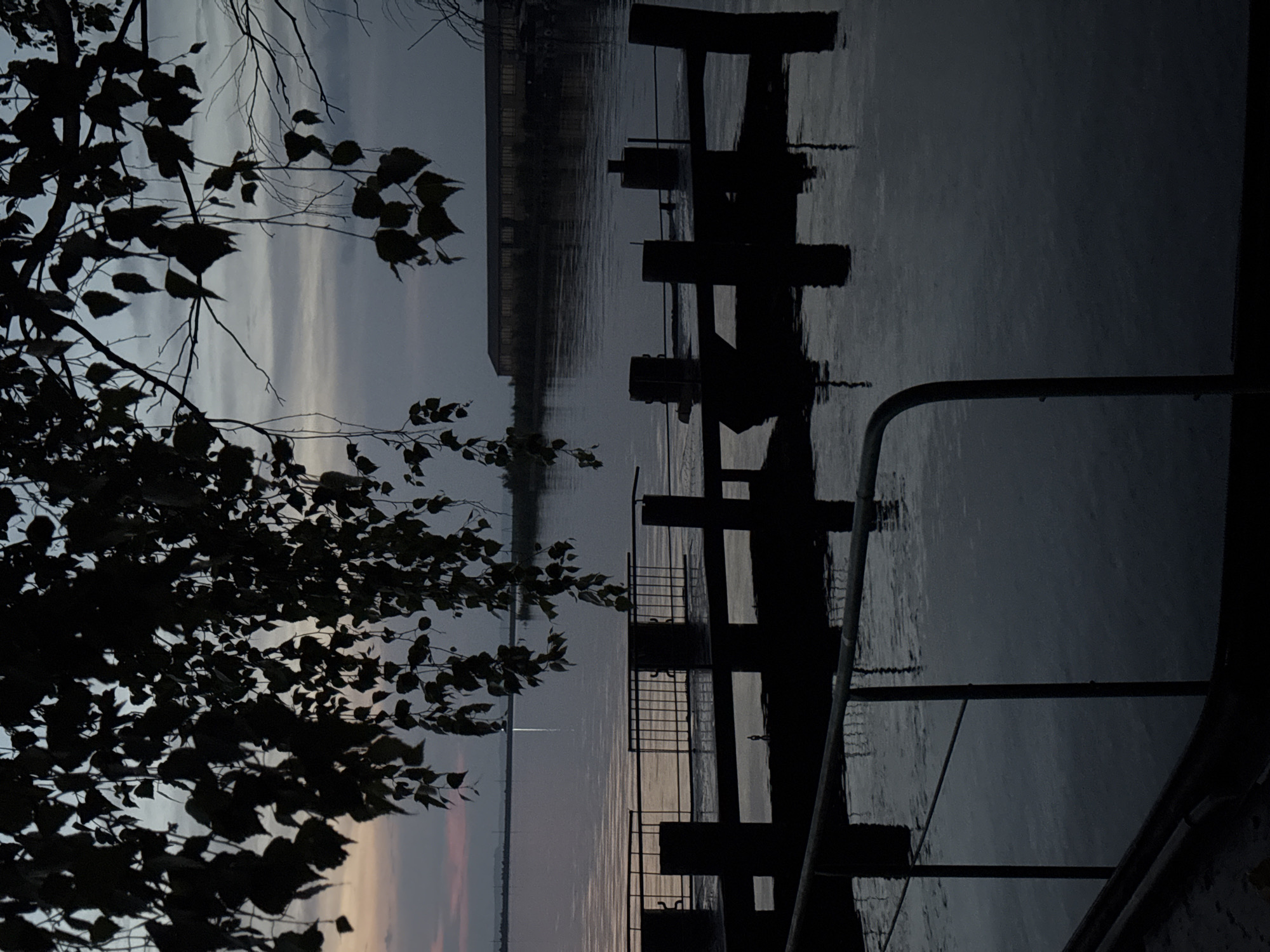 The image shows a serene waterfront scene at dusk, likely in Chaikovsky, Russia, possibly along the Kama River or a reservoir. In the foreground, silhouetted against the dusky sky and water, is a pier or jetty with wooden posts and a railing. The water is calm, reflecting the muted colors of the twilight sky. Overhanging the scene from the top of the frame are the dark, silhouetted branches and leaves of a tree, possibly birch, which adds a natural, organic element to the man-made structure. In the background, across the water, a long, low building with multiple windows is visible, its lights subtly illuminating the dim surroundings. The overall atmosphere is one of tranquility and quietude, characteristic of the end of the day in a place where nature and industry meet.