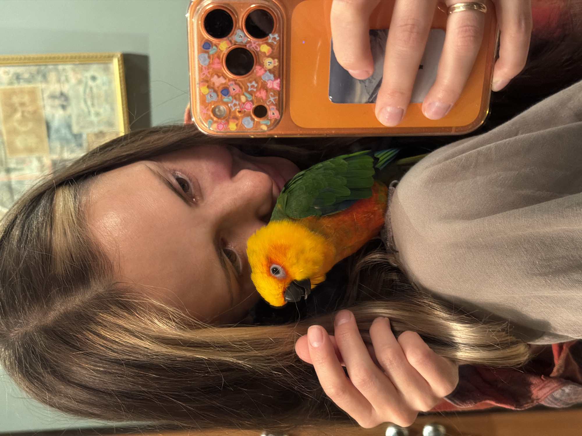 This intimate, close-up image captures a tender moment between a person and a colorful pet bird. The primary subject is a person, likely female, with long, light brown hair featuring blonde highlights. She is lying down, looking upwards towards the camera of her smartphone, which she holds to take a selfie. Her expression appears gentle and content.
A vibrant Sun Conure, a small parrot species, is perched affectionately beside her head, its body tucked close to her cheek. The bird displays striking yellow plumage on its head and chest, transitioning to orange on its belly, with bright green wings. Its dark beak and a single watchful eye are clearly visible, suggesting it is interacting or snuggling with the person.
The person's hand, adorned with a simple gold band on one finger, is holding the smartphone. The phone is encased in a clear, translucent orange cover that is decorated with an array of small, colorful, stylized charms—including flowers and stars—clustered around the camera lenses.
In the blurred background, a framed piece of artwork or a photograph with a gold border is partially visible against a light-colored wall, indicating an indoor setting, likely a home. A portion of a beige or light brown garment, possibly a shirt or blanket worn by the person, is also present.
The scene conveys a warm and affectionate bond between the person and their pet bird, captured in a personal, peaceful moment. No visible text is discernible in the image, and the time of day is not specified beyond being an indoor setting.