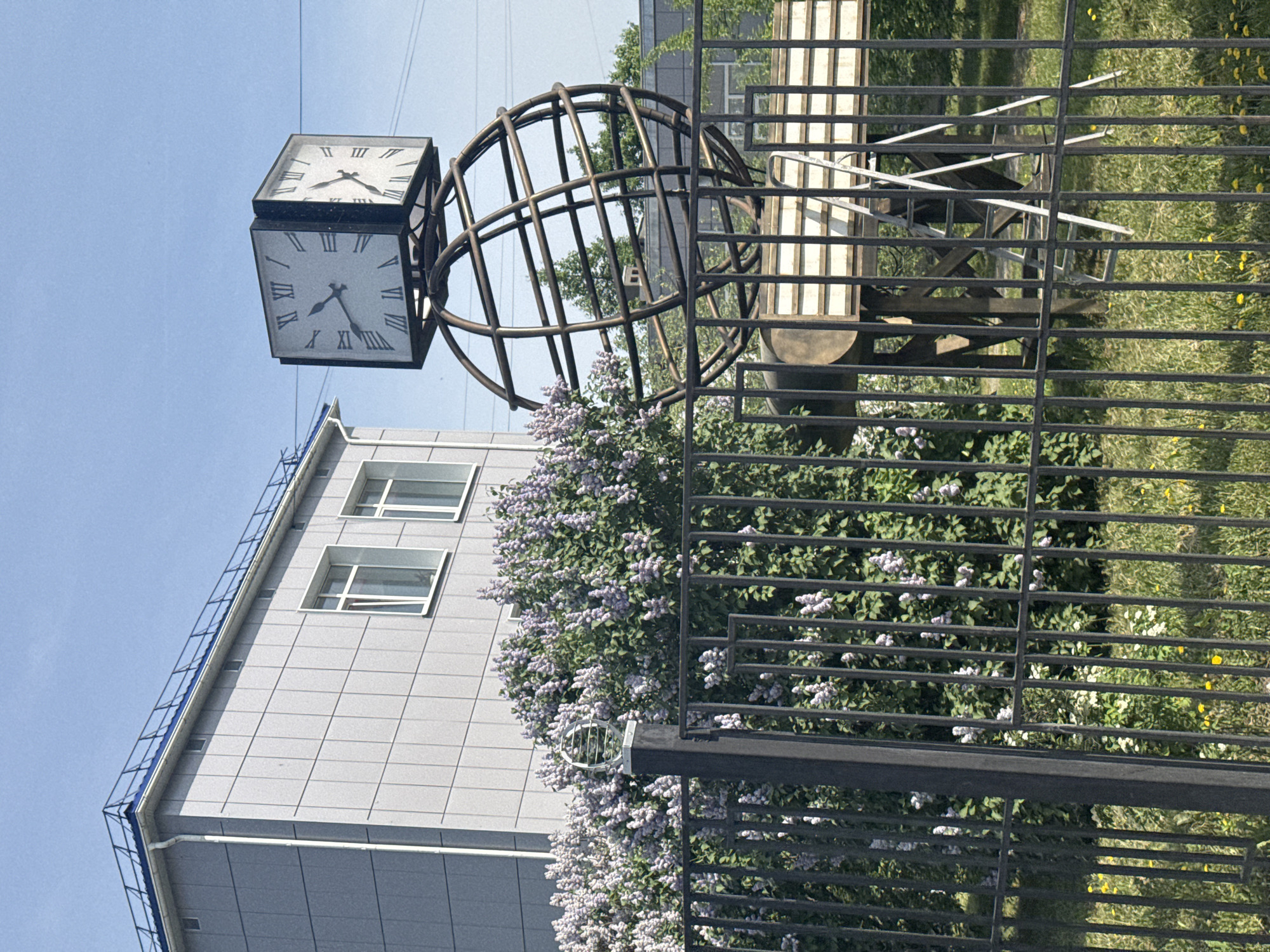 The scene is a close-up, ground-level view in what appears to be Chaikovsky, Russia. A modern gray building with two visible rectangular windows is present on the left side of the frame. In front of the building and partially obscuring it is a blooming lilac bush. A decorative metal structure featuring a square clock atop a globe-like sphere is in the center of the image. The clock faces show different times. A metal fence runs across the foreground, partially obscuring the bush and a patch of grassy ground with small yellow flowers beyond. Above, power lines are visible against a light blue sky.